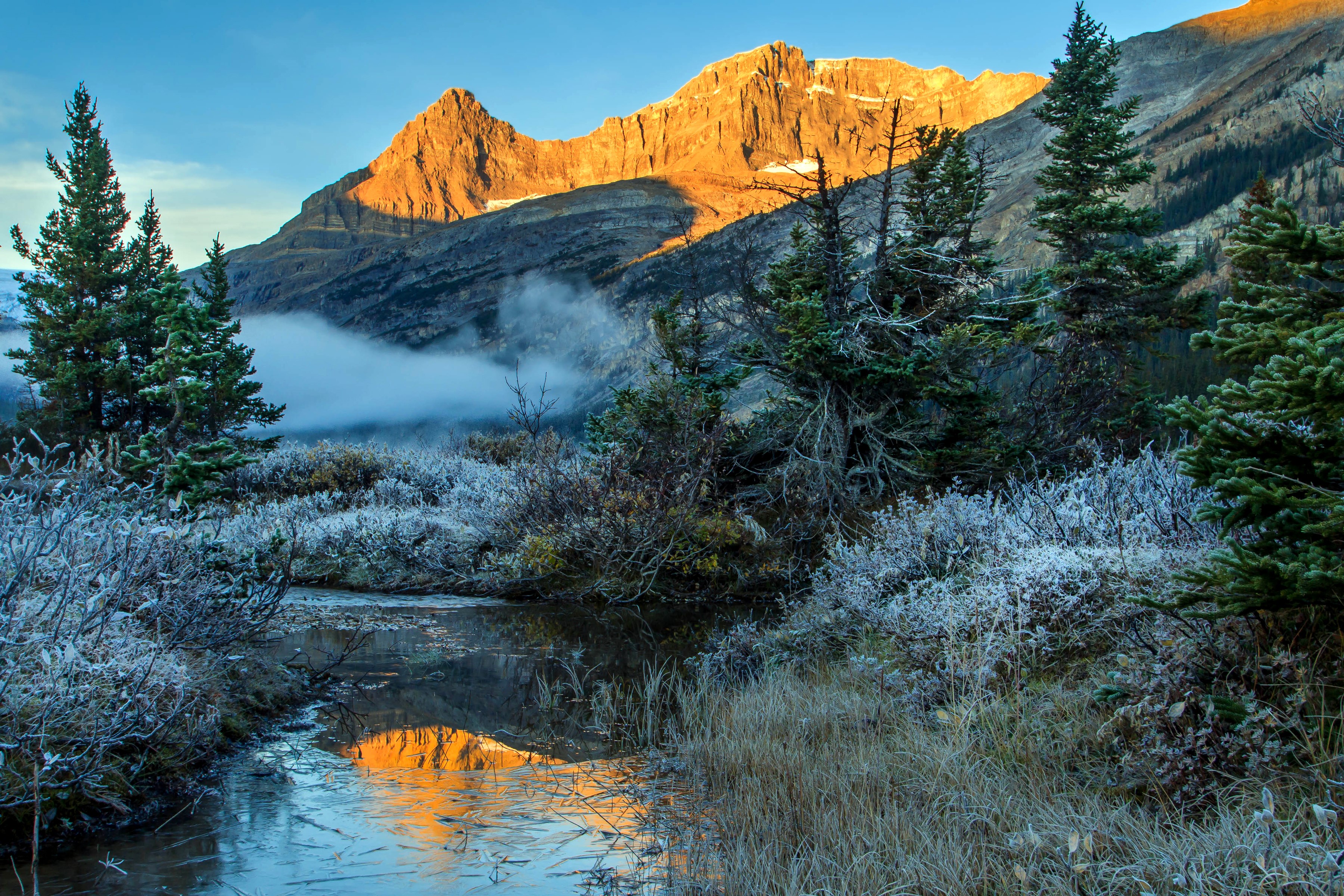 Golden Mountain Peak Reflected in Frosty Stream with Spruce Trees HD Wallpaper