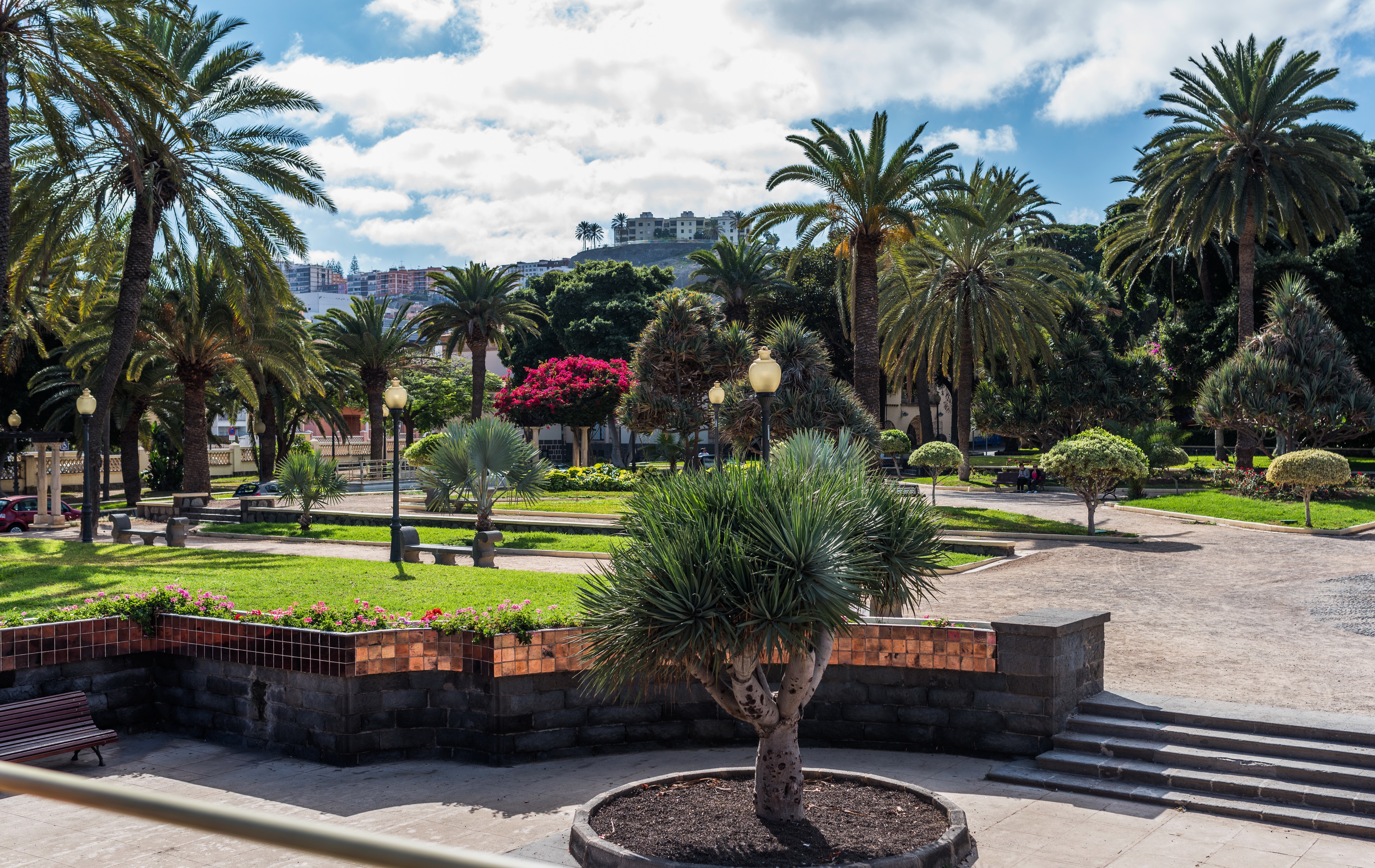 Park with palm trees in Las Palmas, Canary Islands HD Wallpaper