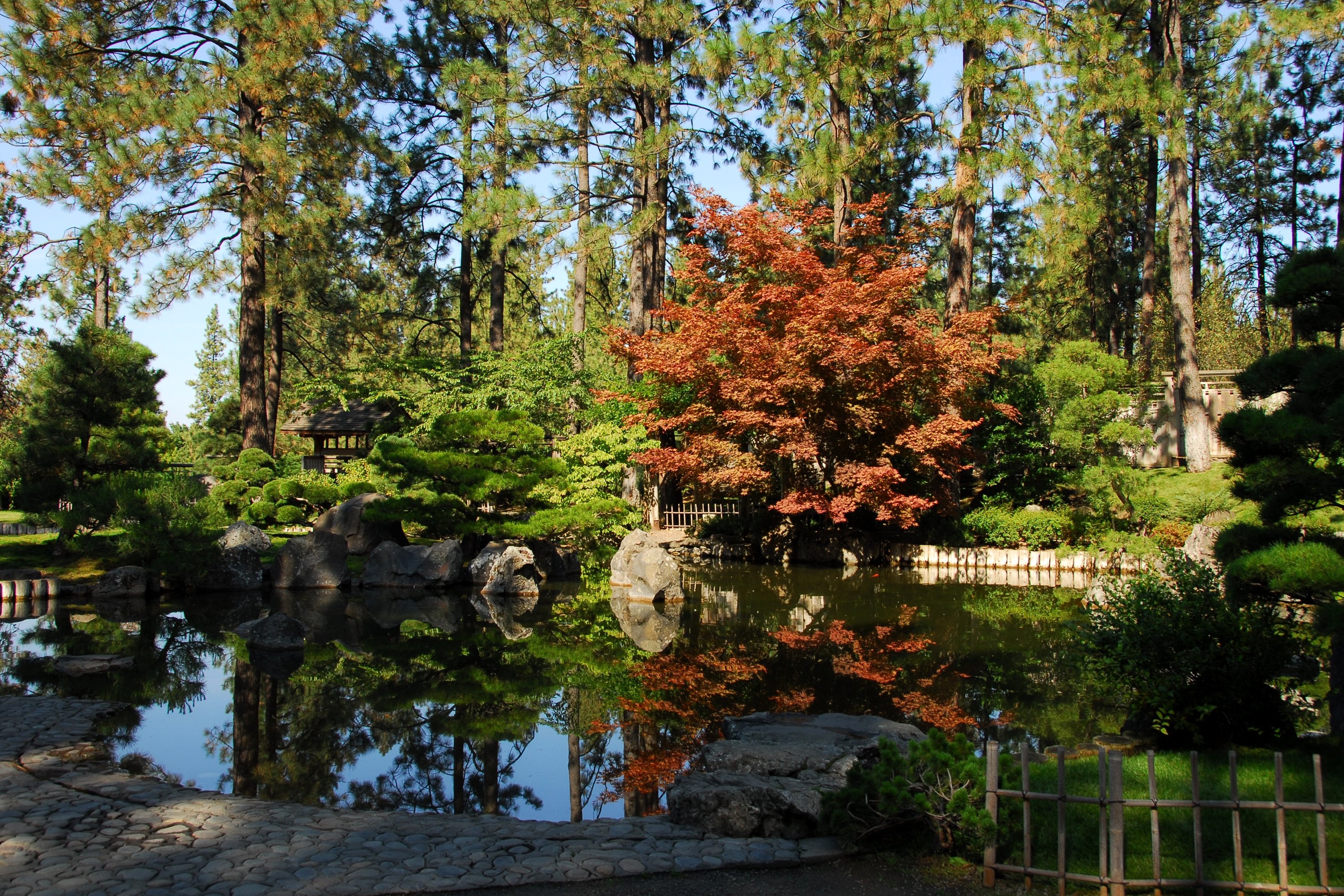Manito Park Japanese Garden Pond with Autumn Foliage HD Wallpaper