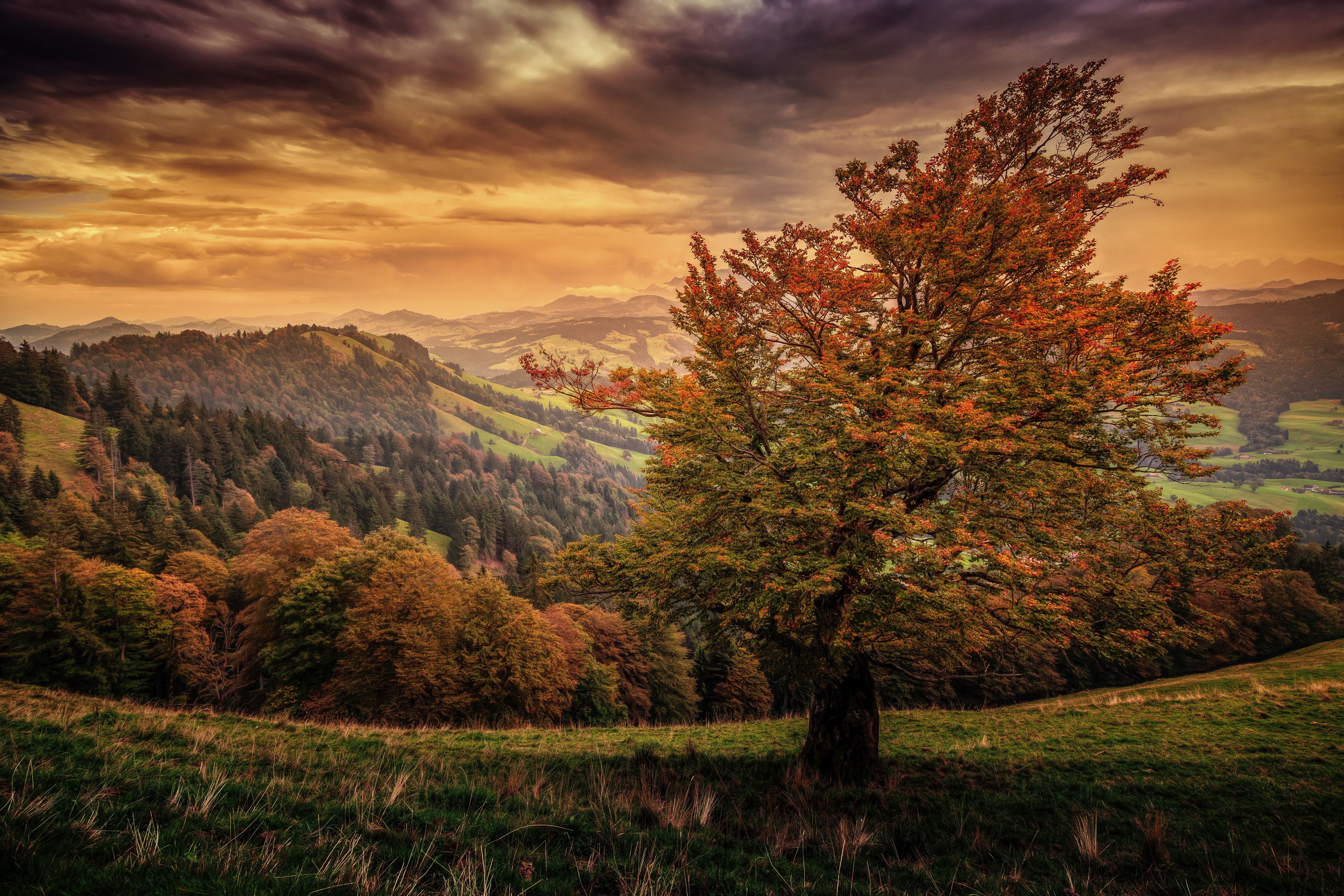Autumn landscape in Switzerland with mountains and trees HD Wallpaper