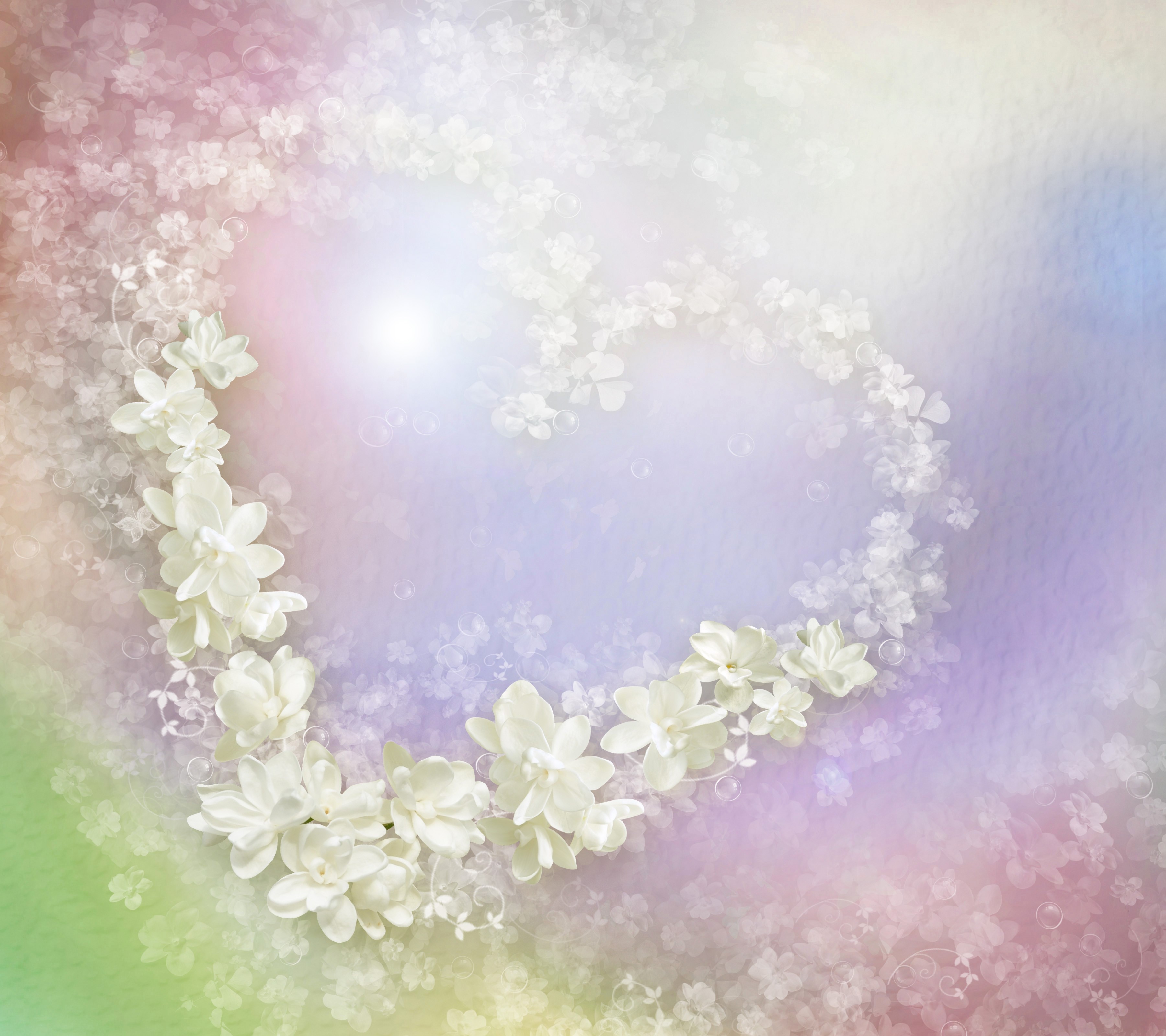 Heart shape made of white flowers and petals HD Wallpaper