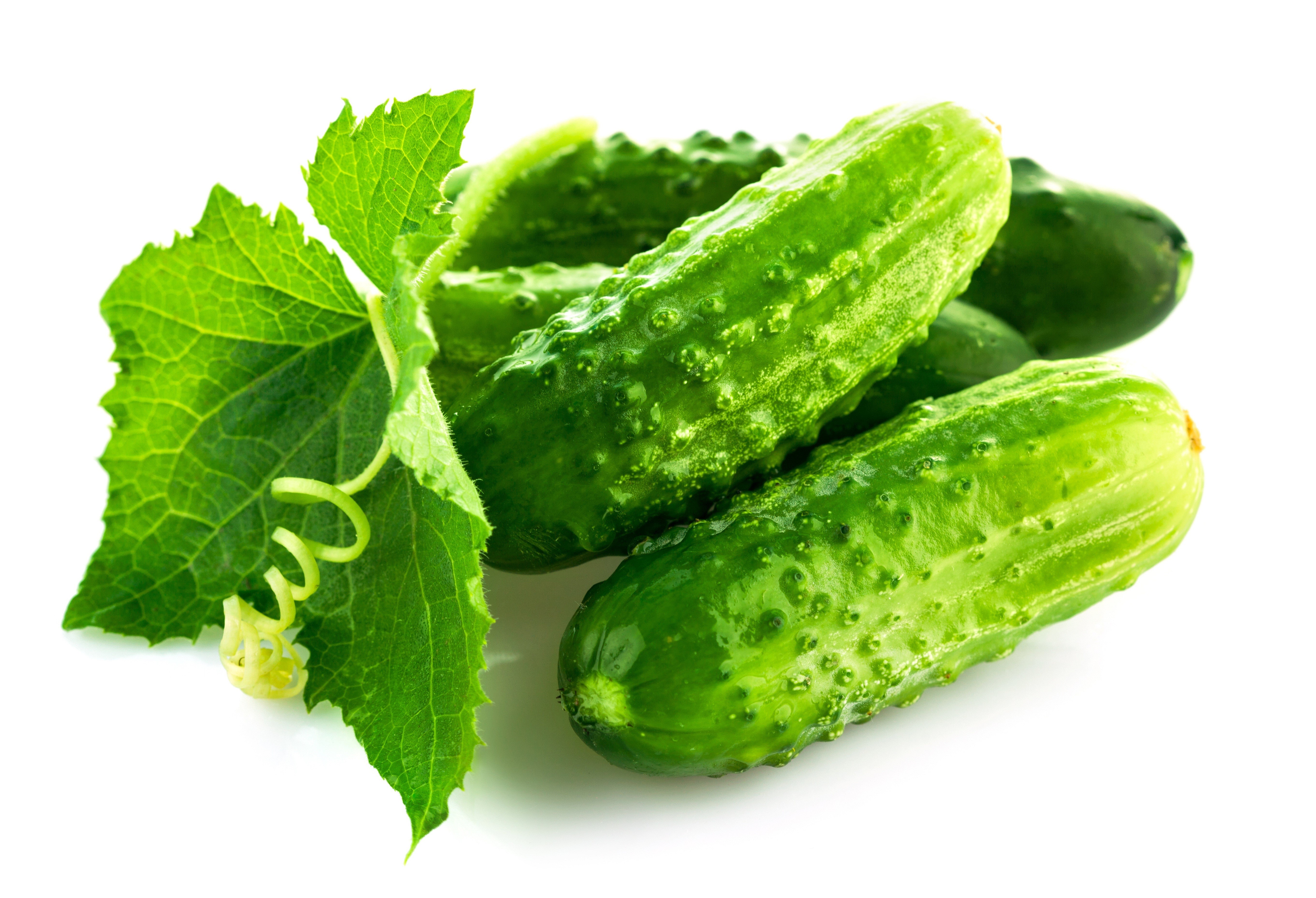 Cucumbers with Foliage HD Wallpaper