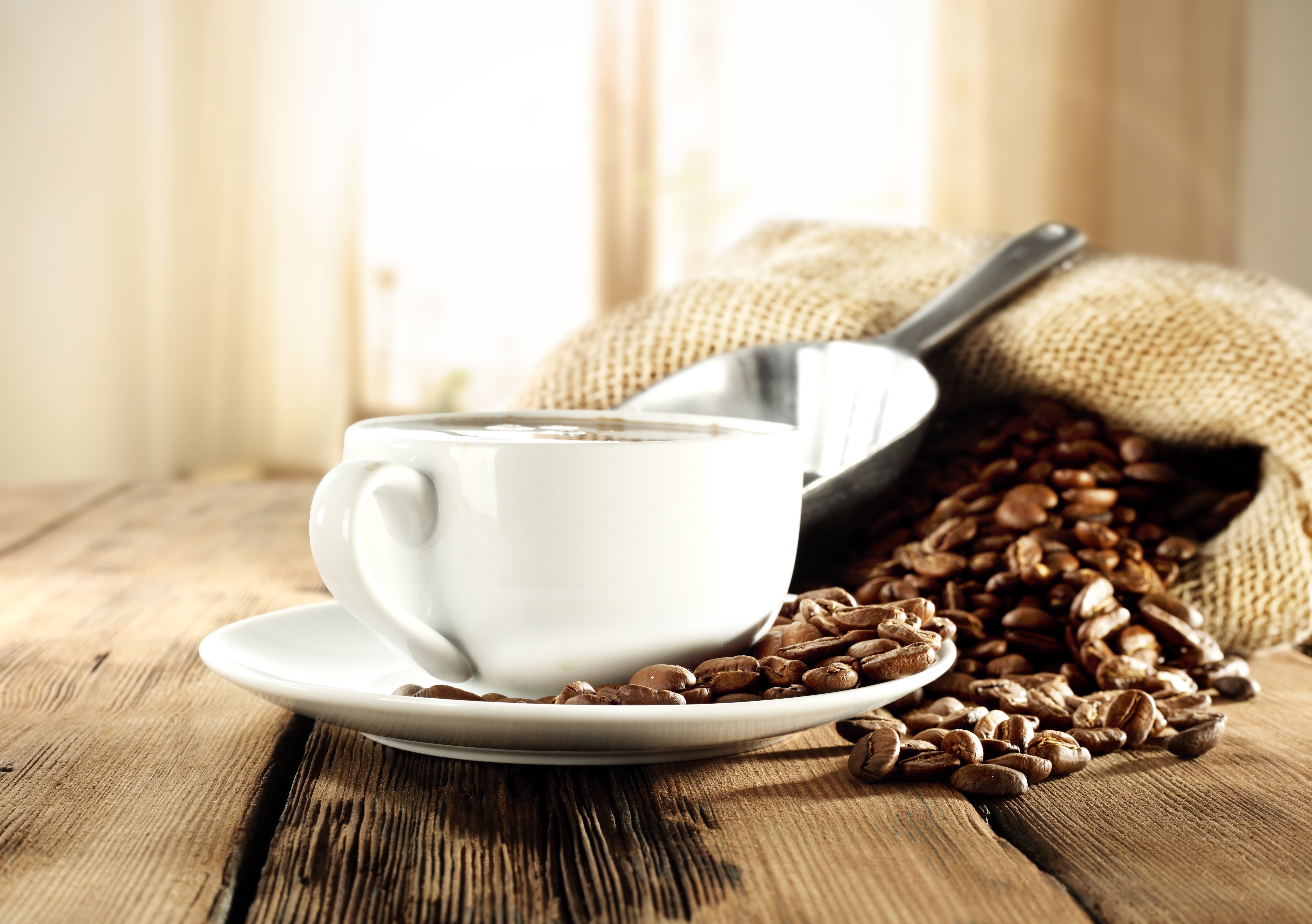 Coffee cup and saucer with coffee beans HD Wallpaper