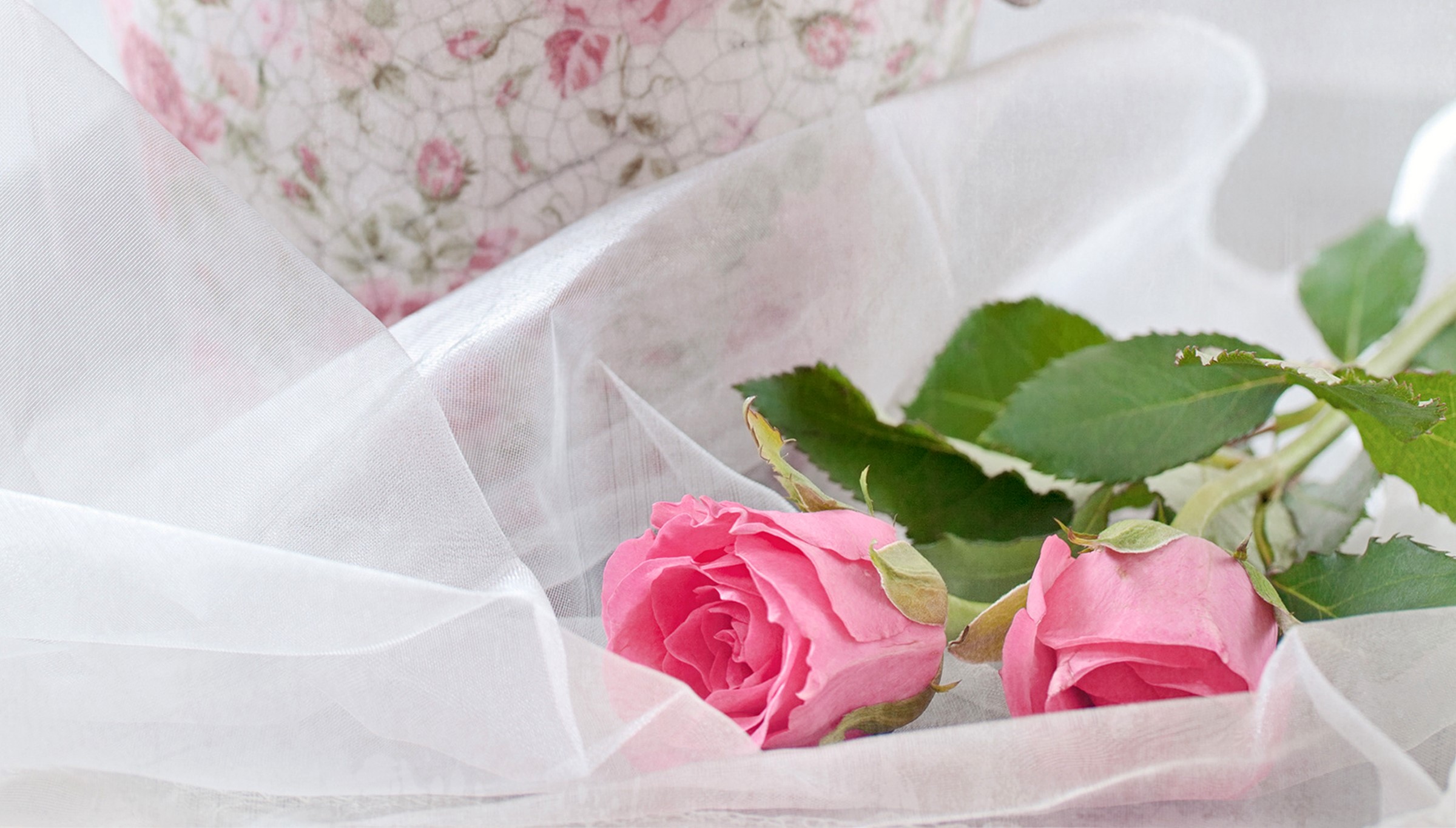 Two pink roses on white fabric with floral teapot HD Wallpaper