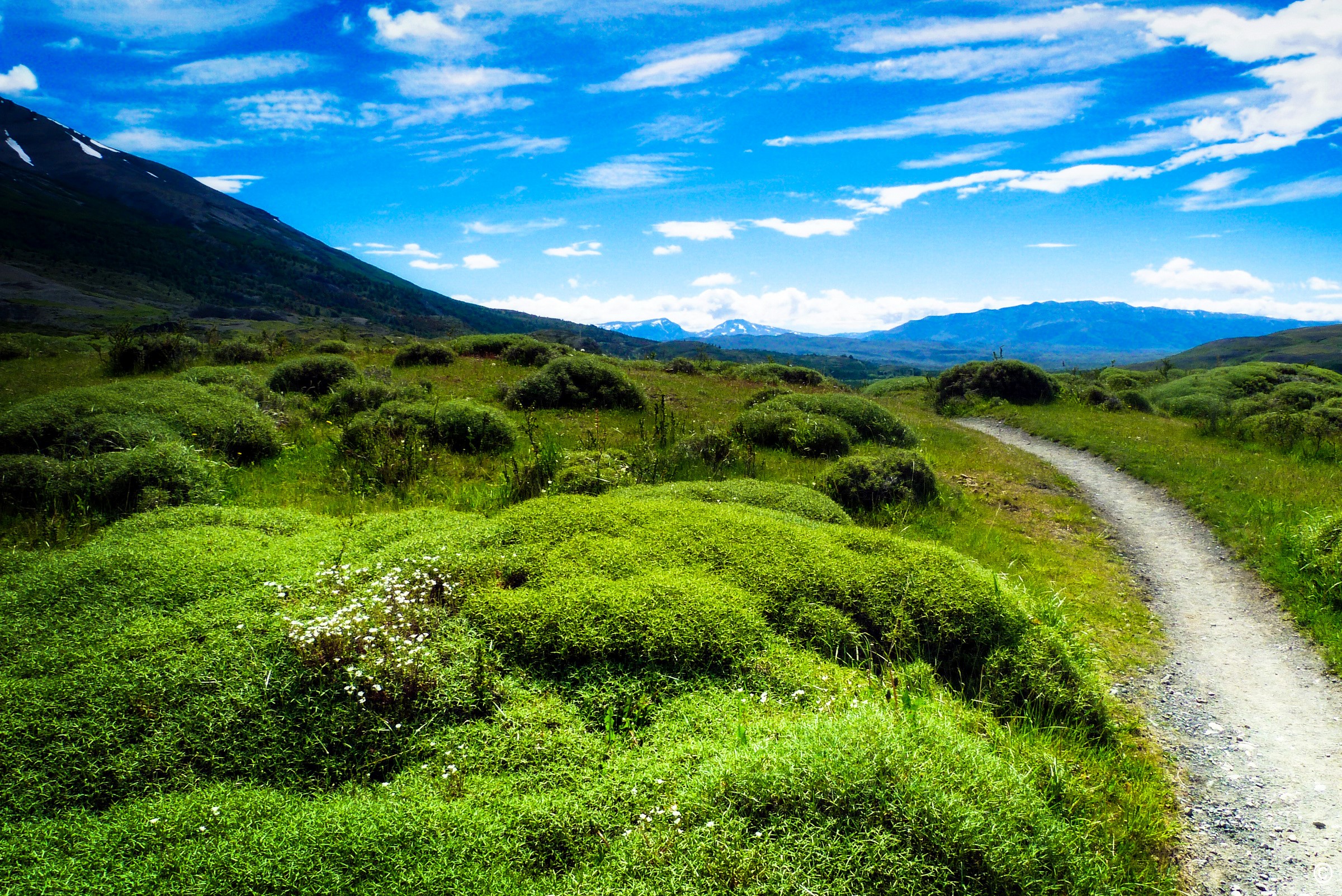 Patagonia Scenery with Grass and Trail HD Wallpaper