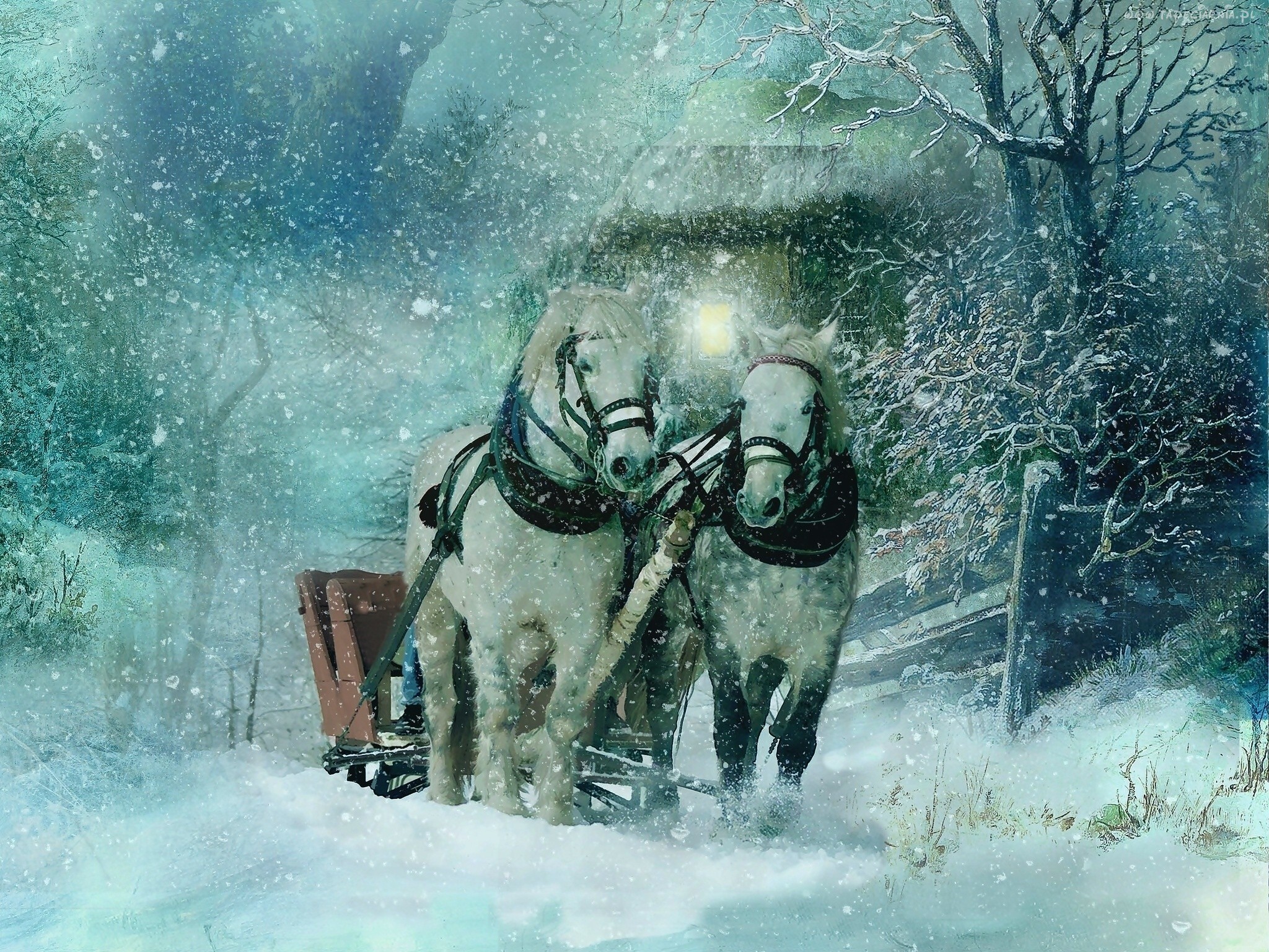 Two white horses pulling a sleigh in the snow HD Wallpaper