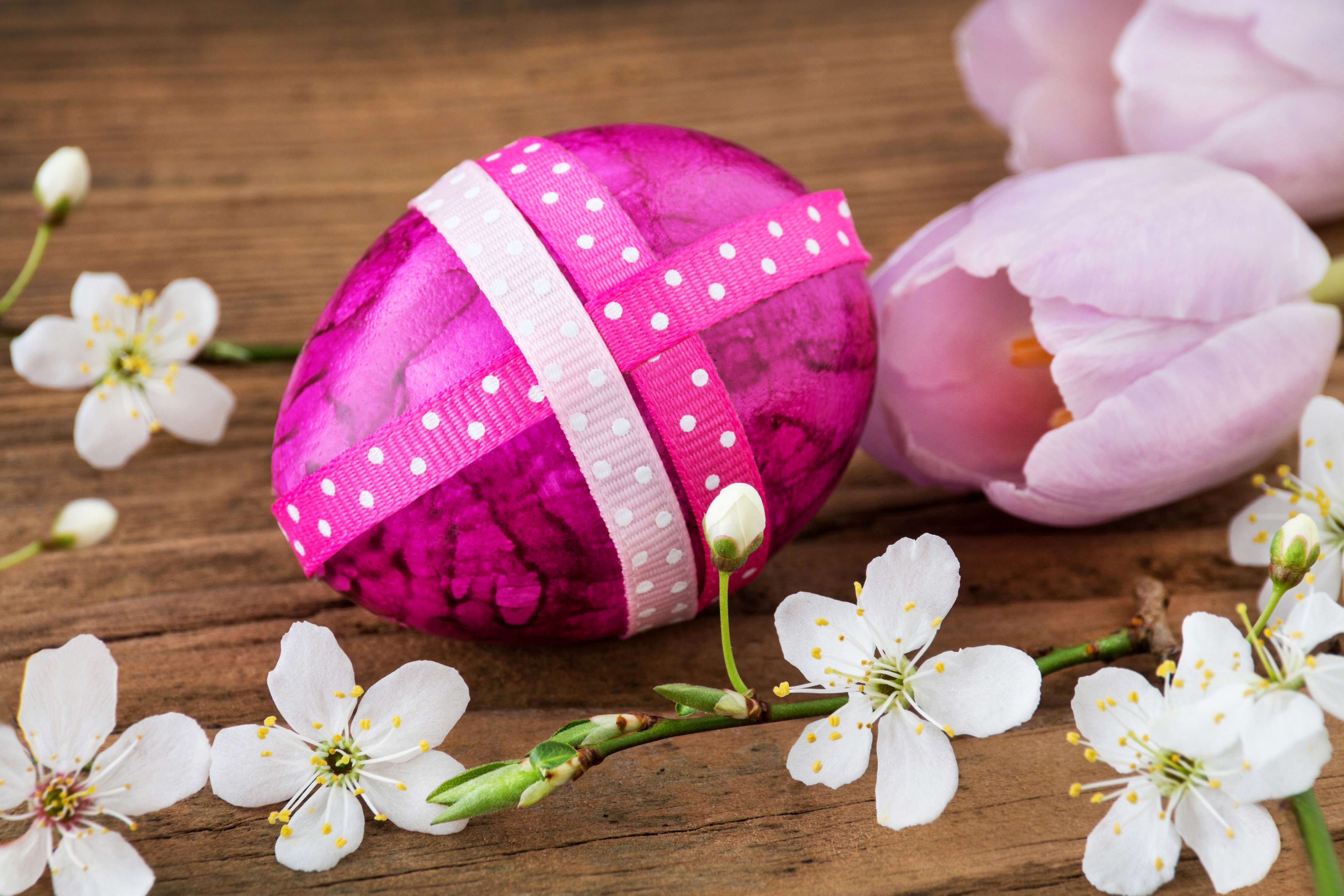 Easter egg with tulips and branches HD Wallpaper