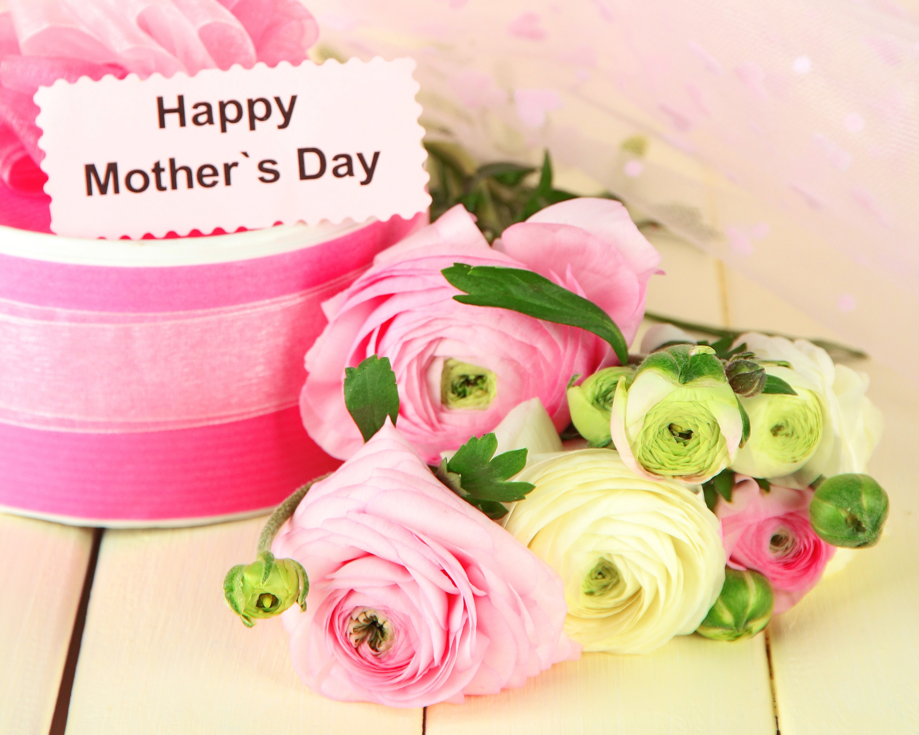 Happy Mother's Day Ranunculus Flowers Gift Box HD Wallpaper