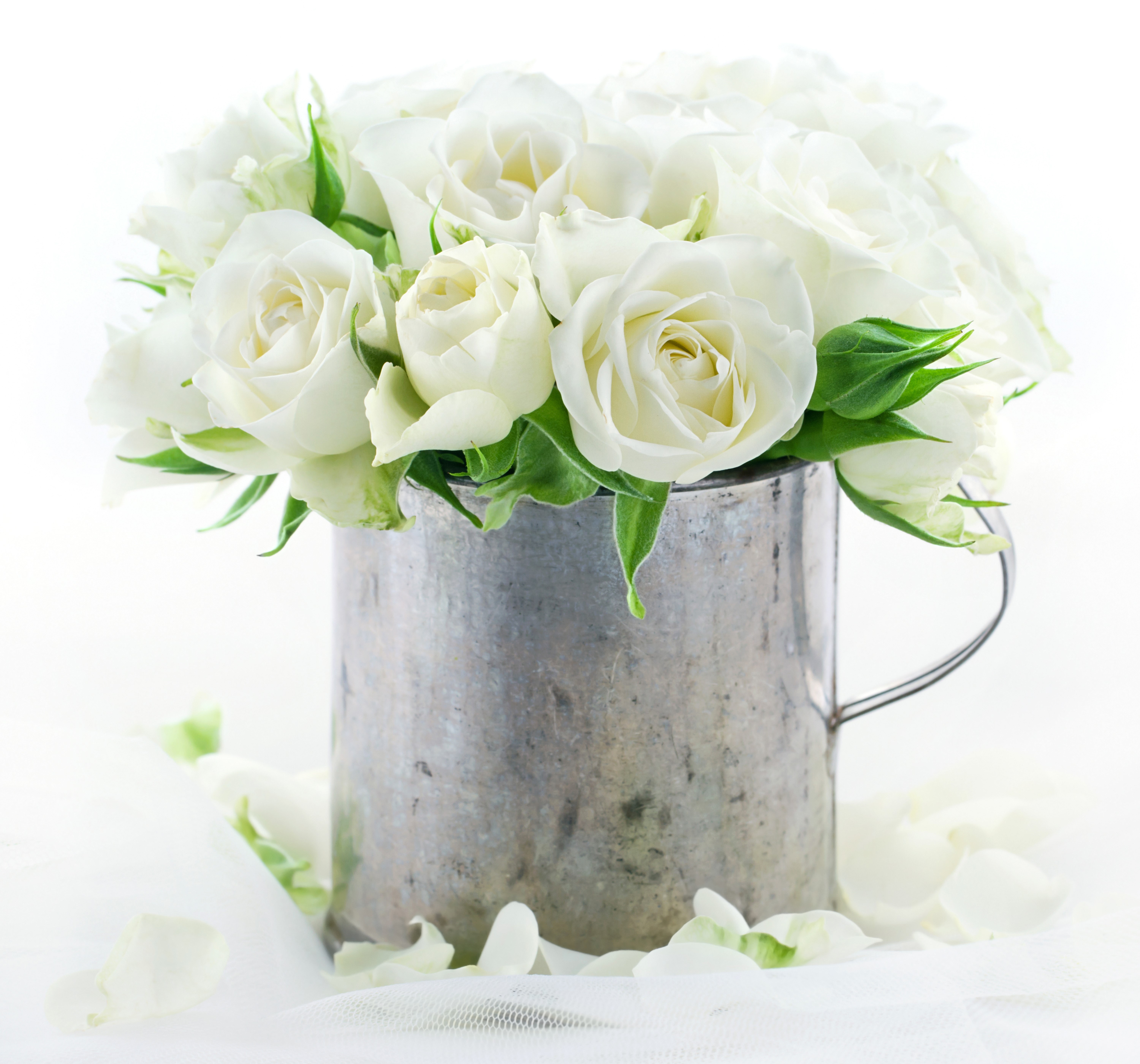 White Roses in a Metal Mug HD Wallpaper
