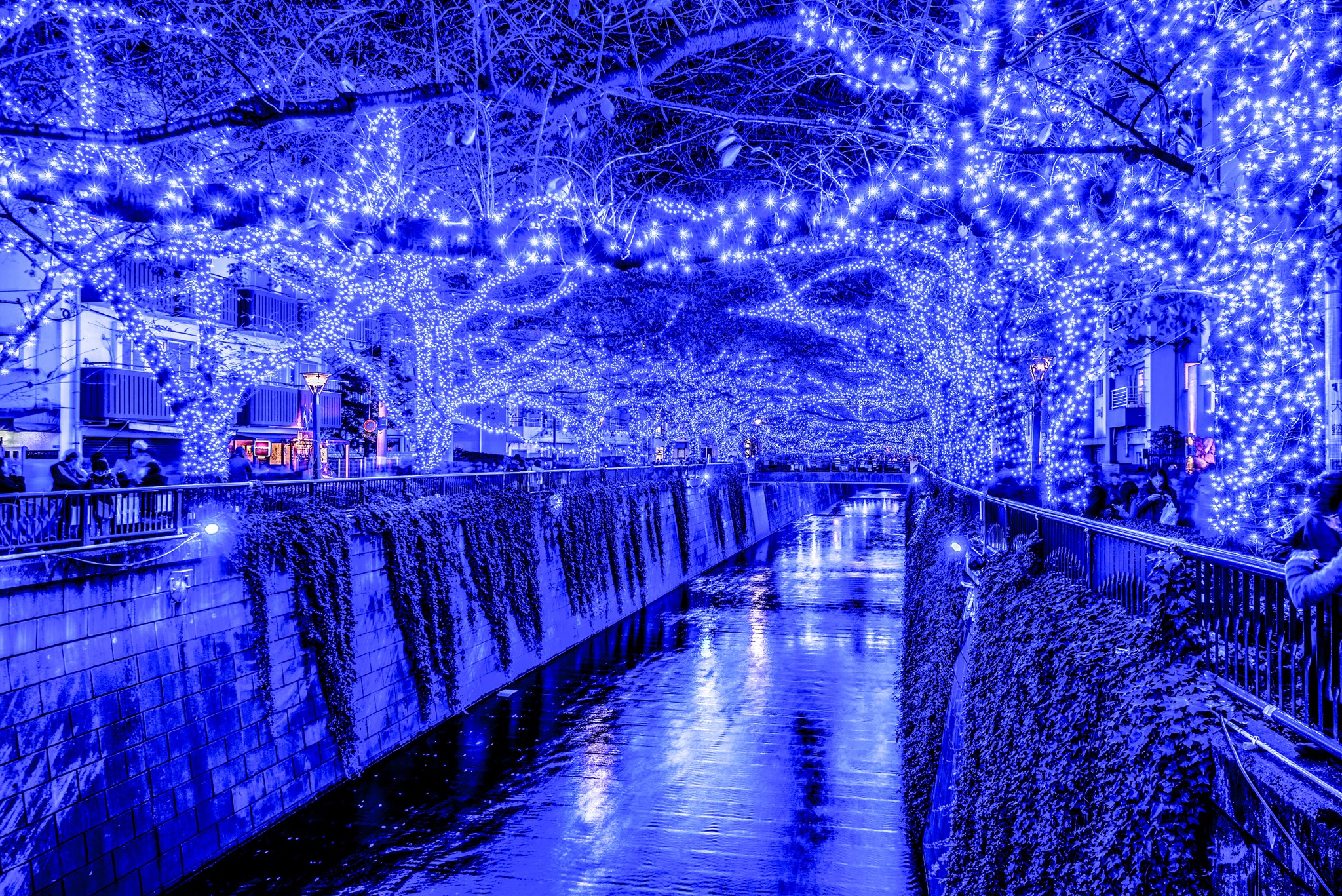 Canal decorated with blue fairy lights at night in Tokyo, Japan HD Wallpaper
