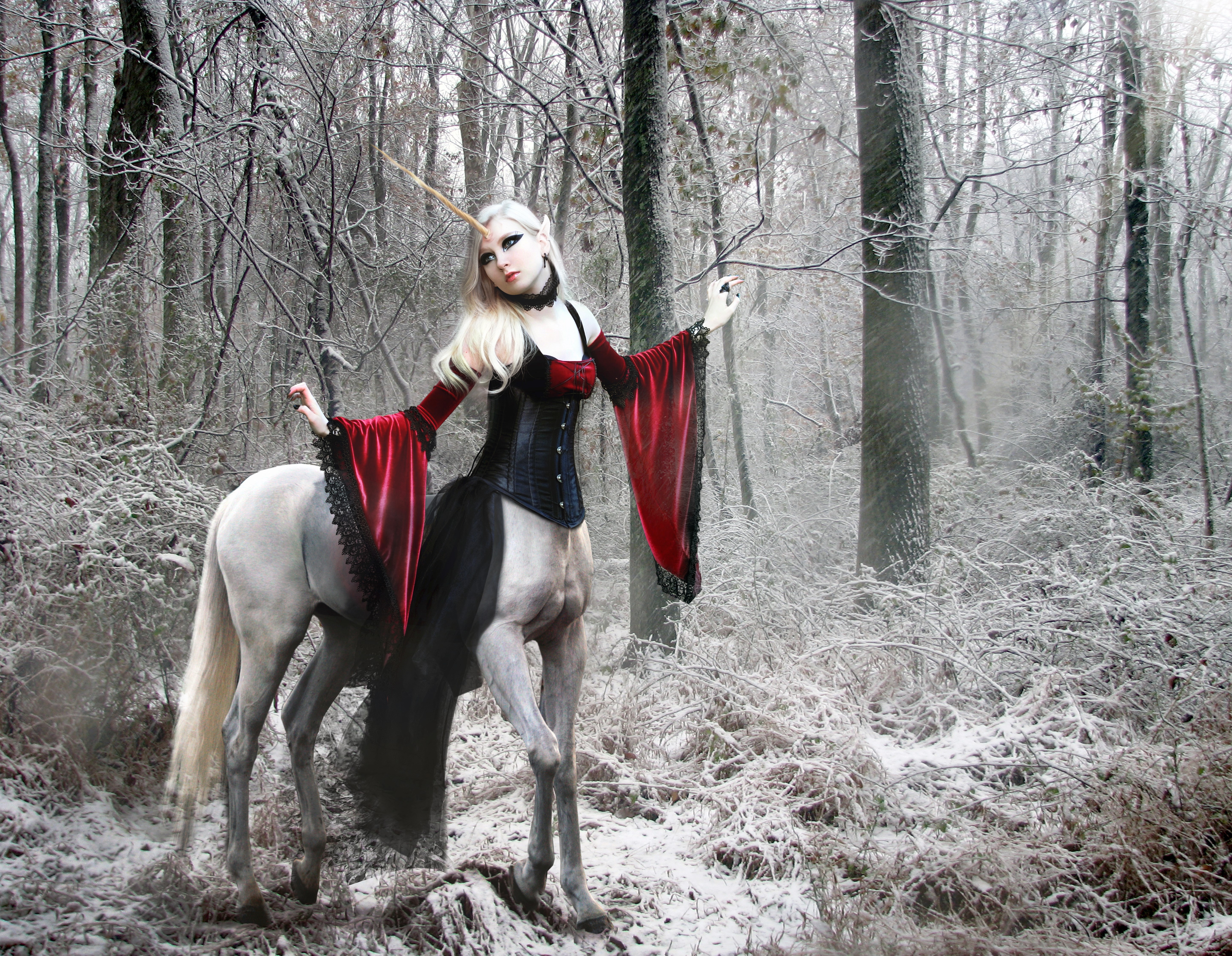Centaur unicorn in a snowy forest HD Wallpaper