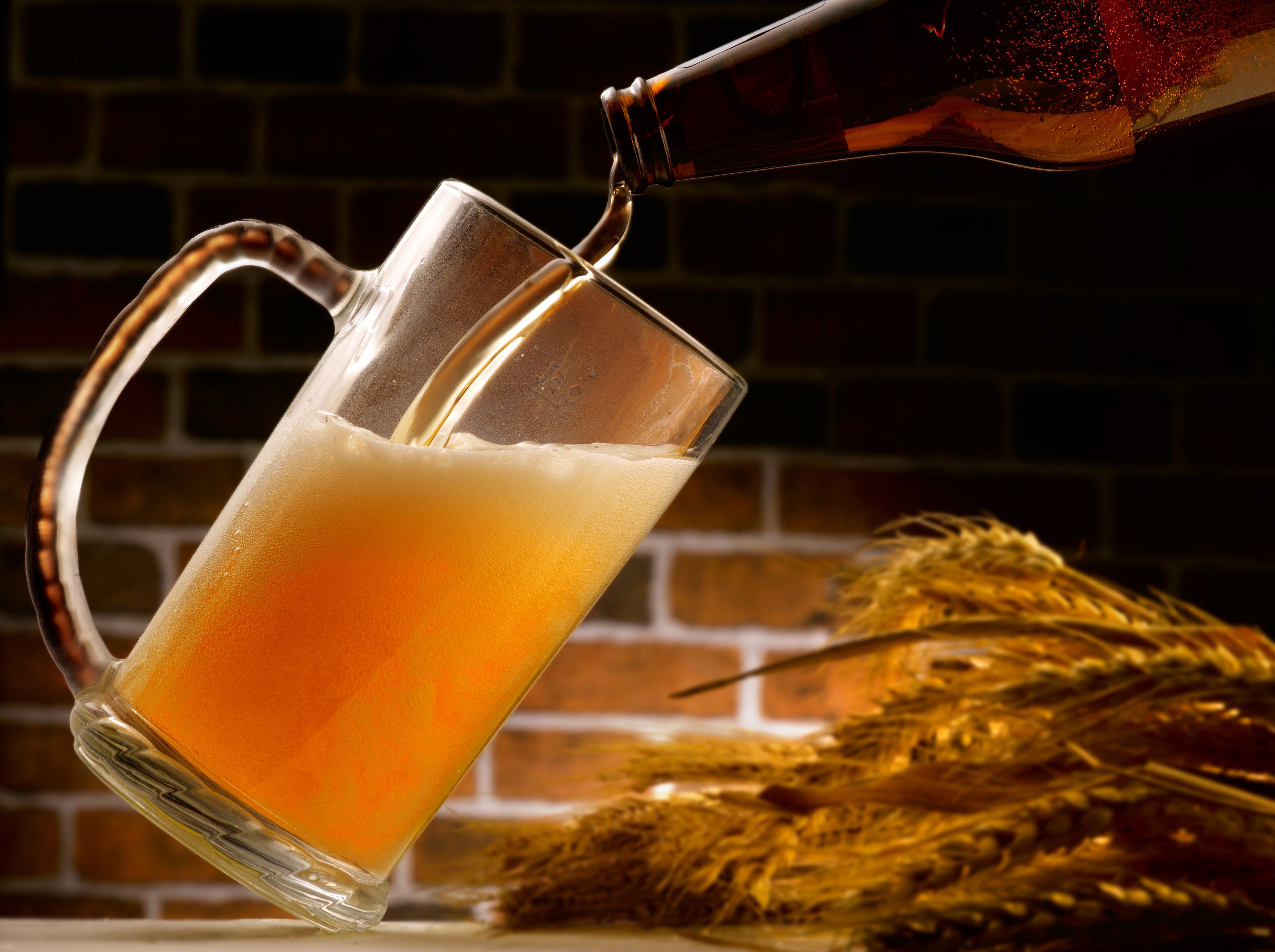 Beer being poured into a mug with wheat HD Wallpaper