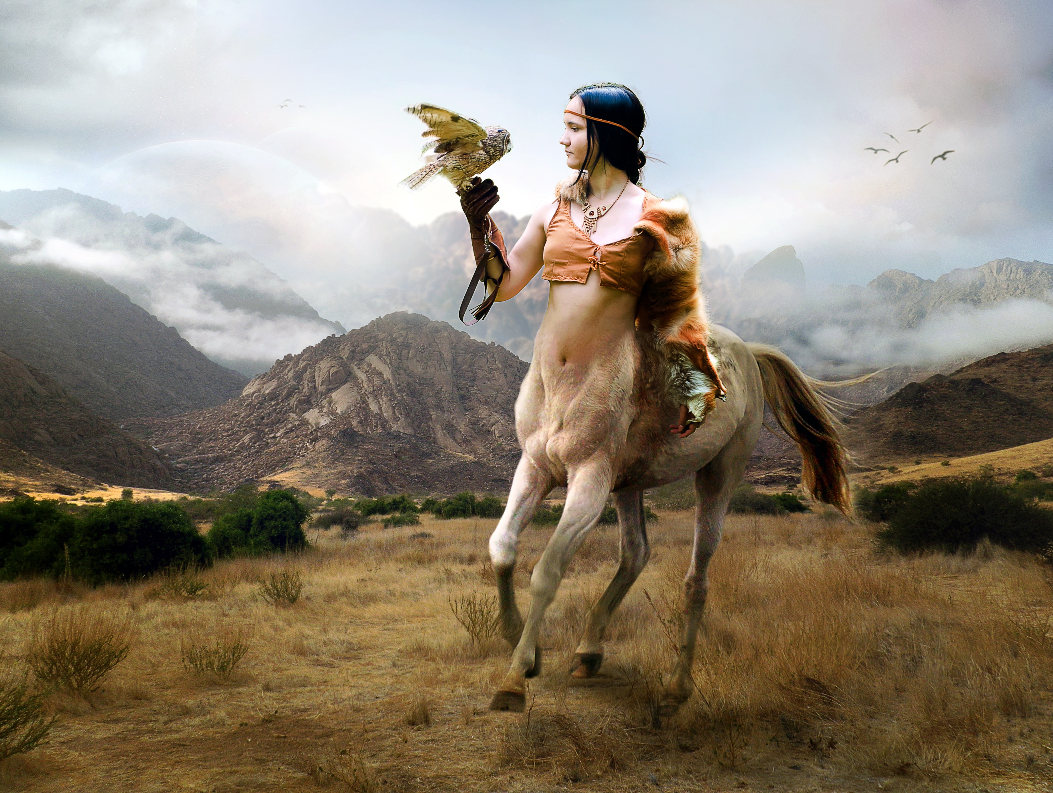Centaur with Falcon in Mountains HD Wallpaper
