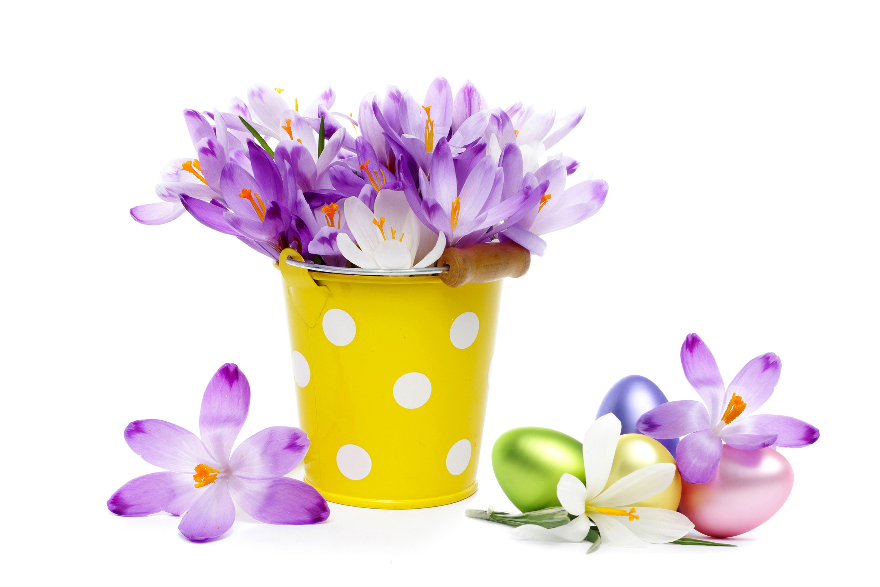 Easter Crocuses and Eggs in a Yellow Bucket HD Wallpaper