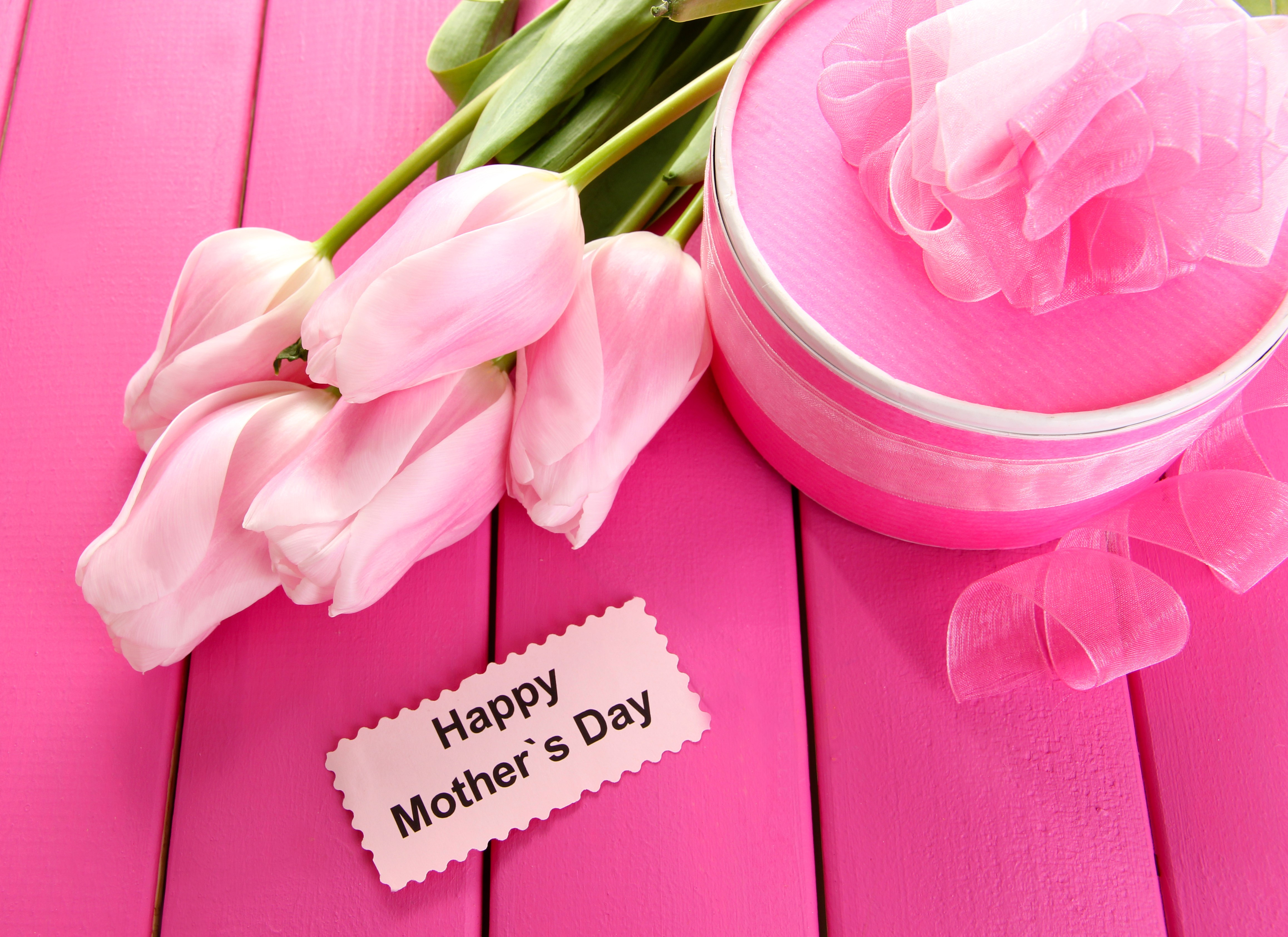 Pink Tulips and Gift Box for Mother's Day HD Wallpaper