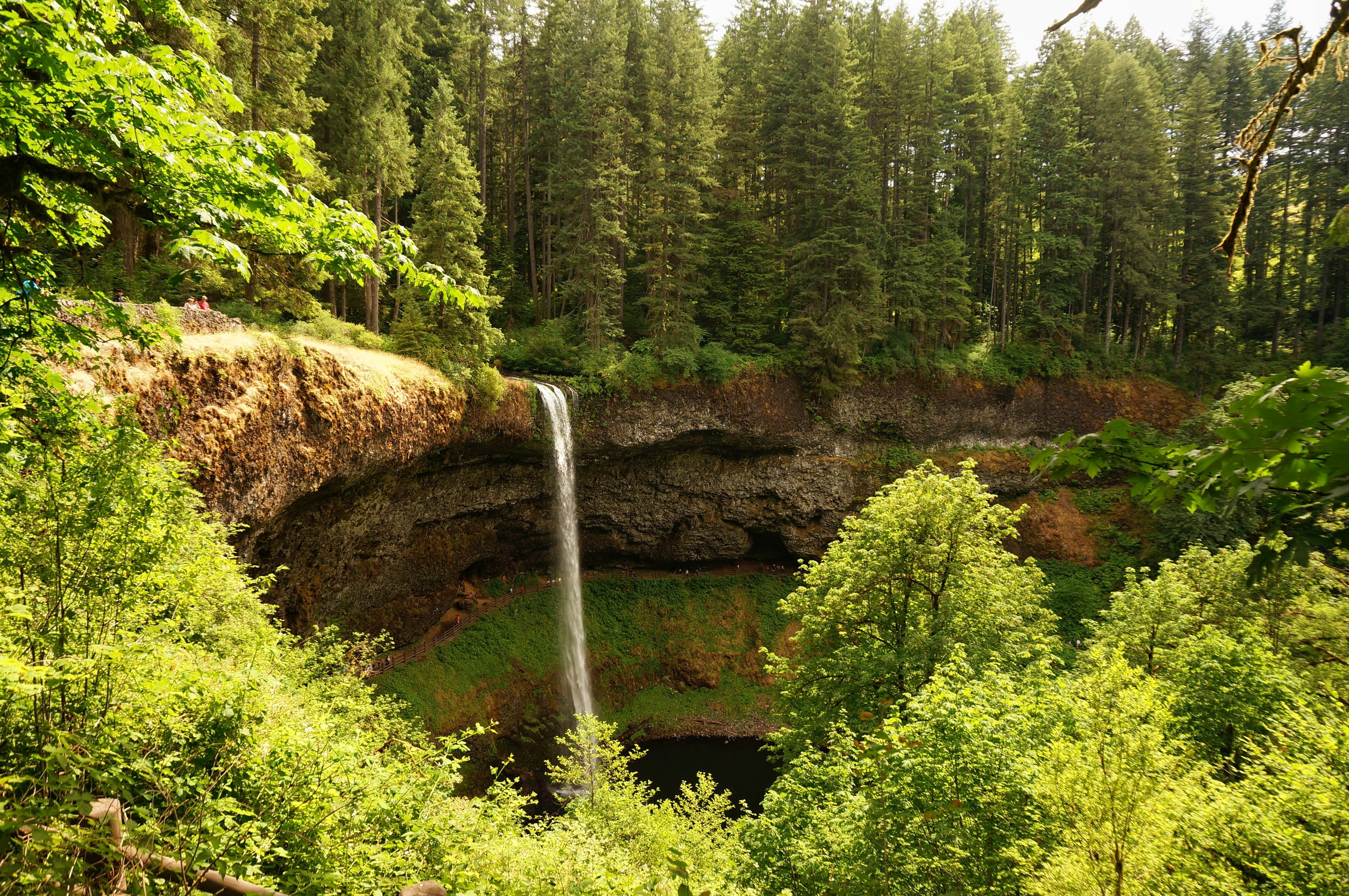 Silver Falls State Park Waterfall in Oregon HD Wallpaper
