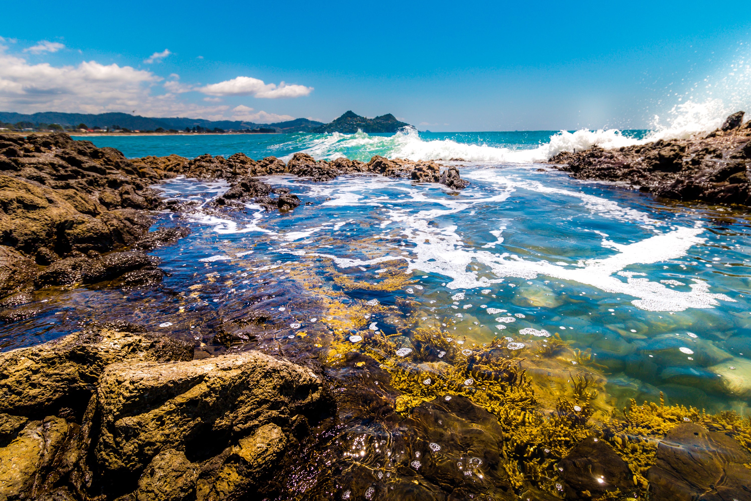 Rocky New Zealand Coastline with Waves HD Wallpaper