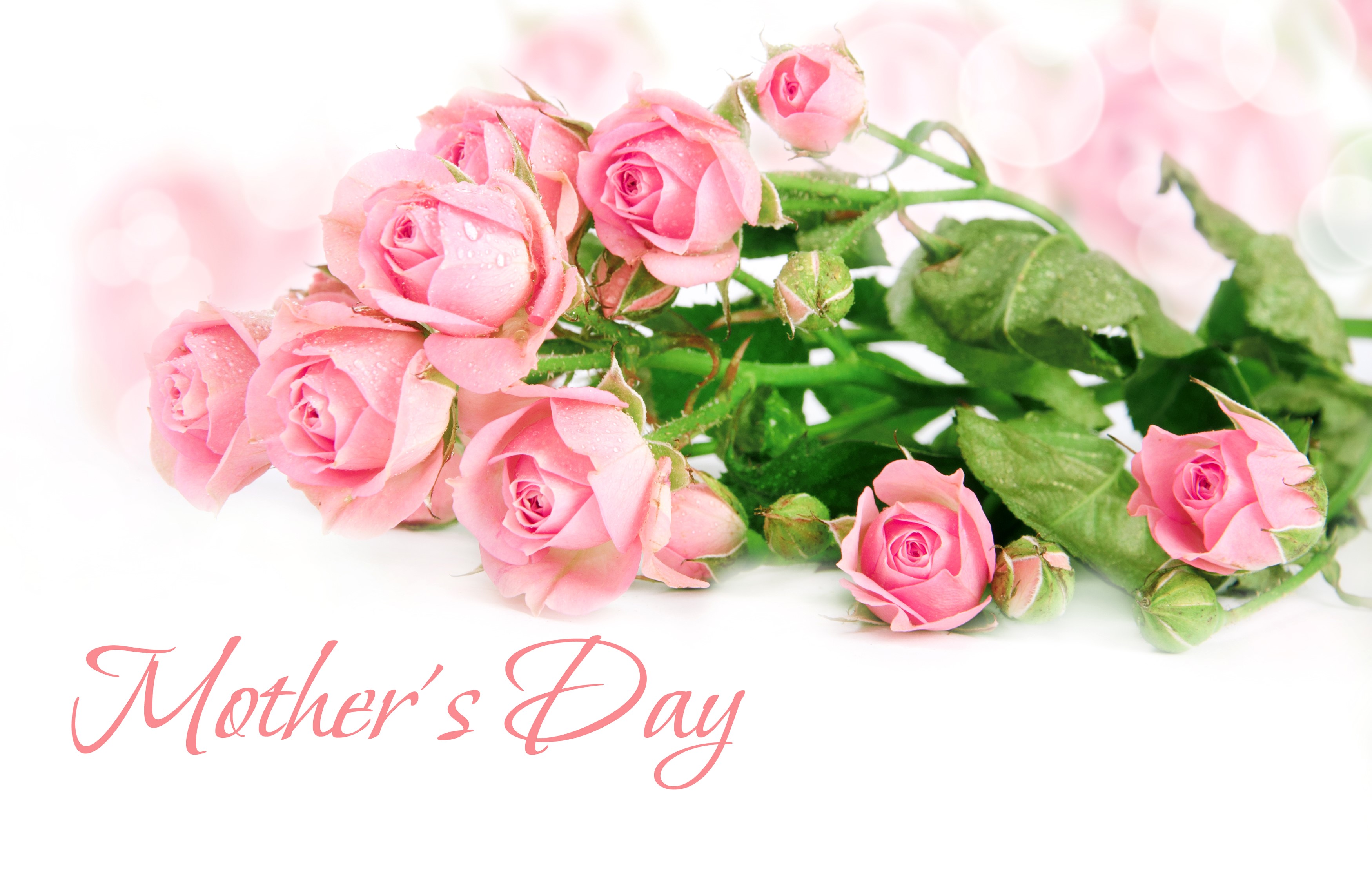 Pink Roses for Mother's Day HD Wallpaper