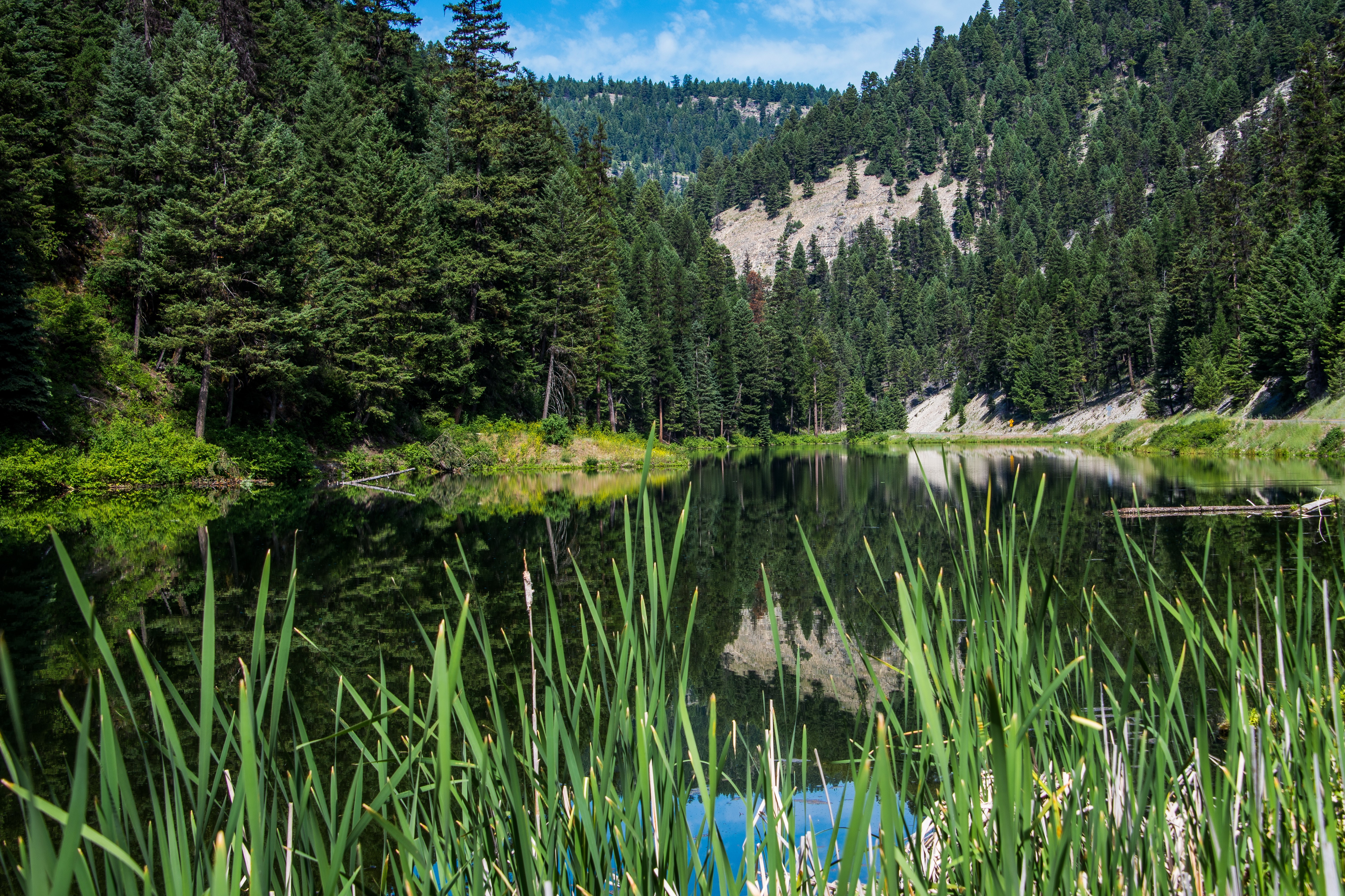 Beaver Lake surrounded by forests in USA HD Wallpaper