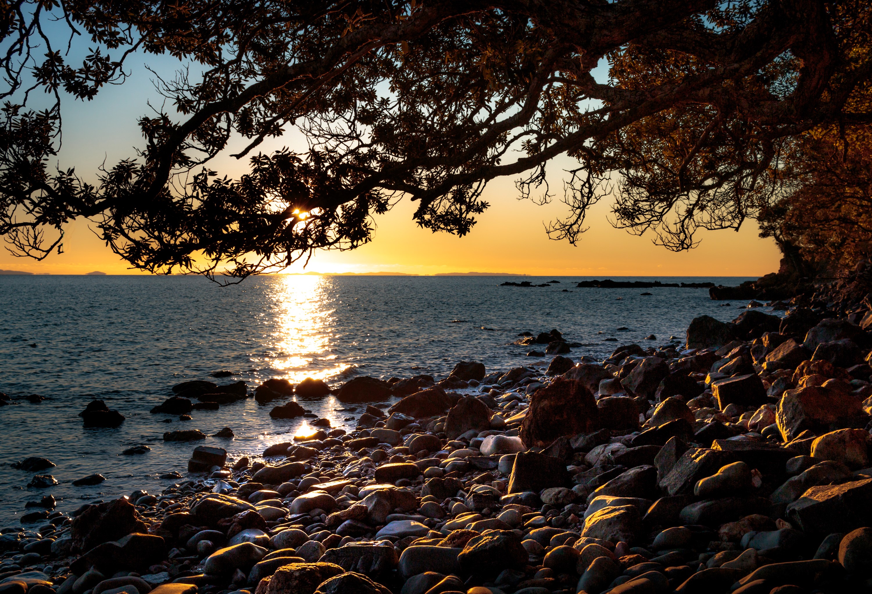 Sunset over Ruamahunga Bay, New Zealand with tree branches HD Wallpaper