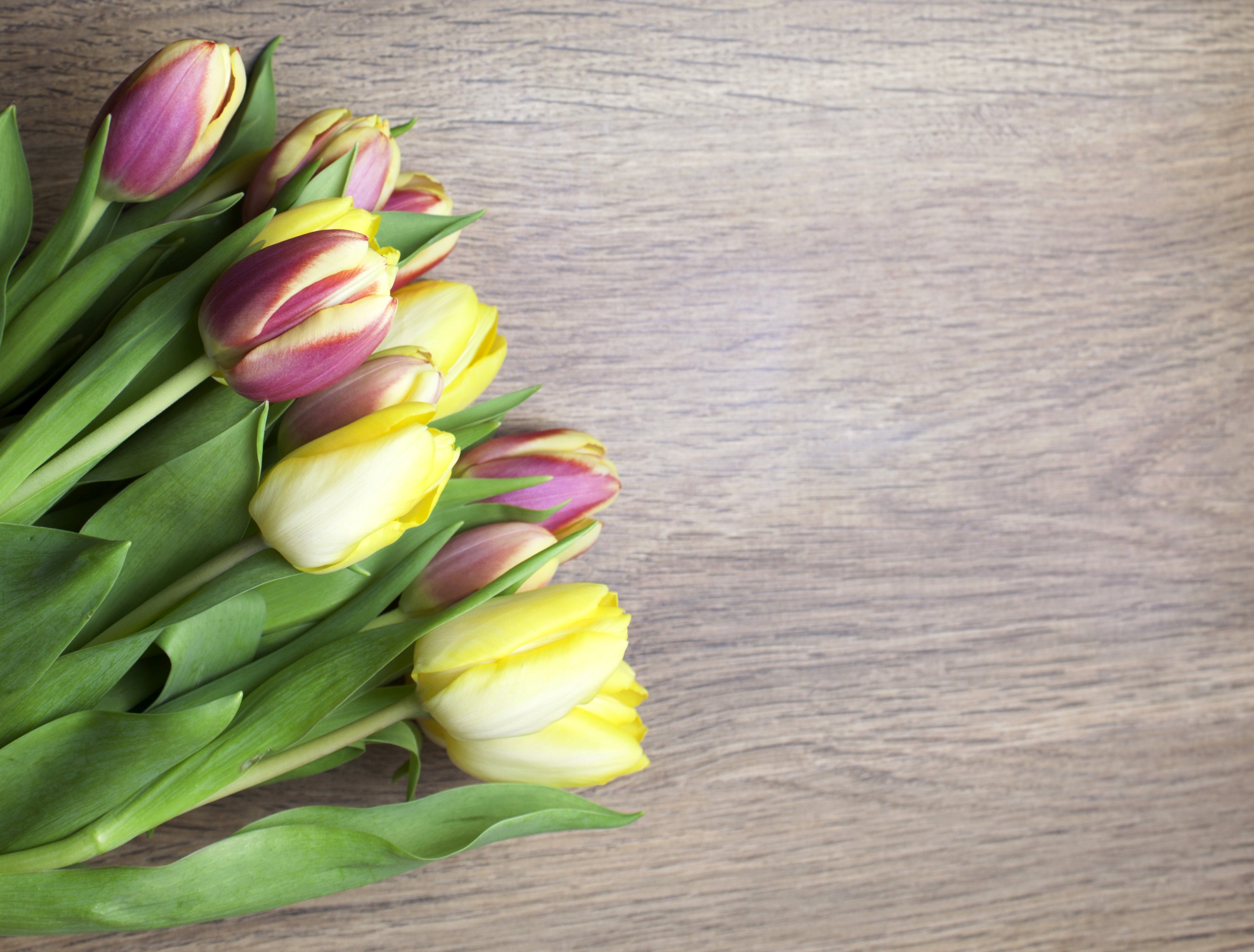 Yellow and pink tulips on a wooden background HD Wallpaper