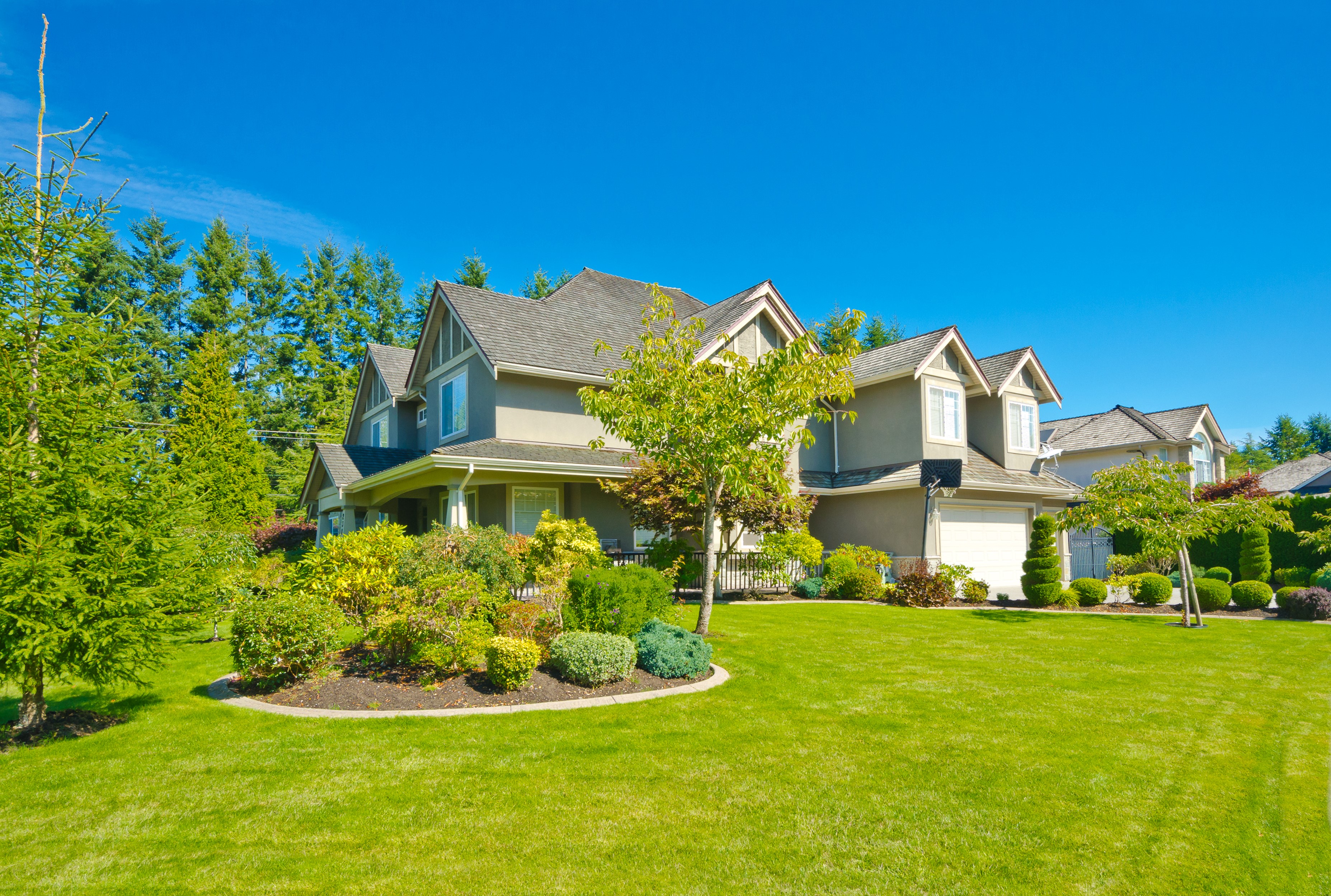 Houses with manicured lawns and trees HD Wallpaper