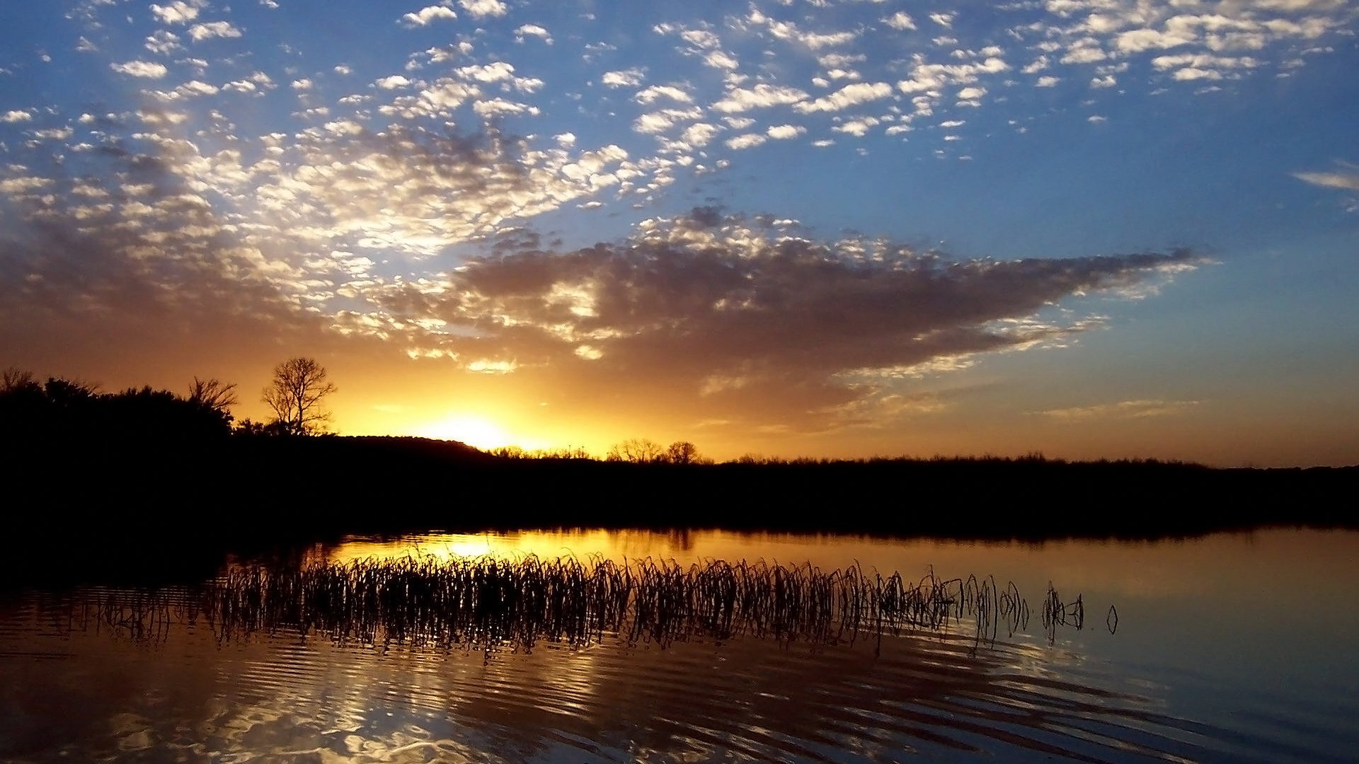 Sunset over a lake with silhouetted trees and clouds HD Wallpaper