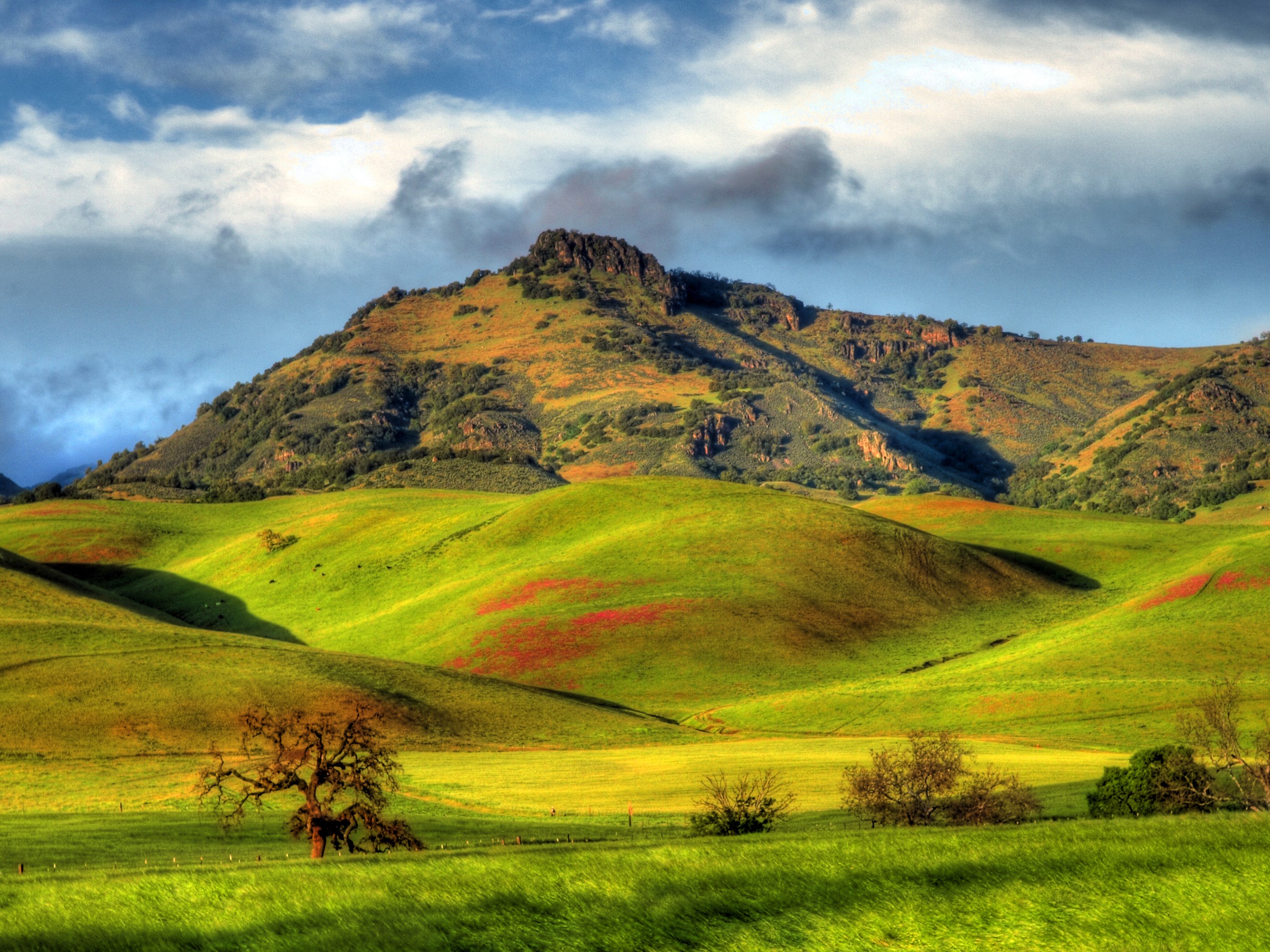 Santa Ana Valley California Mountains and Grasslands HD Wallpaper