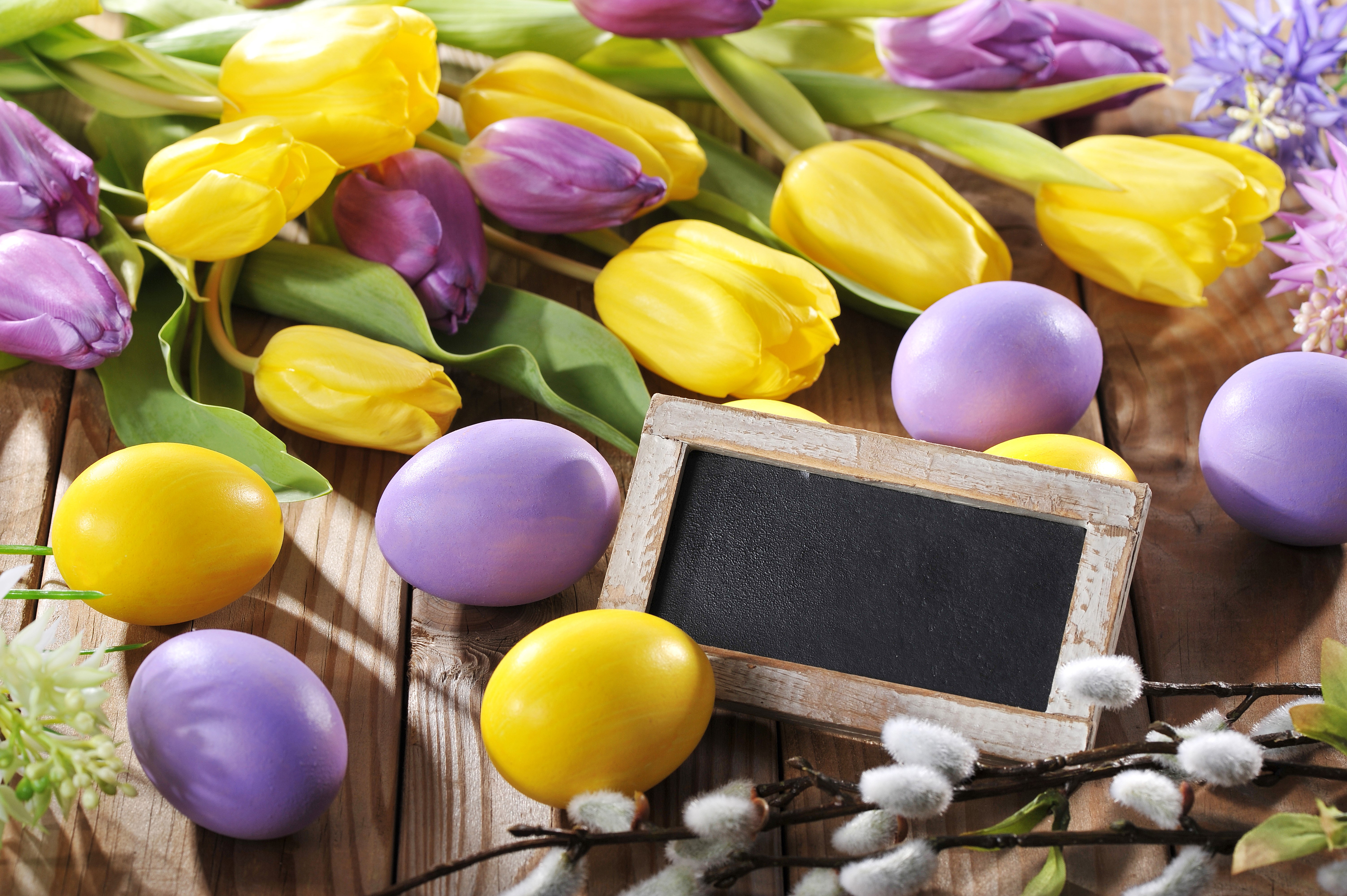 Easter Tulips and Eggs with Chalkboard HD Wallpaper