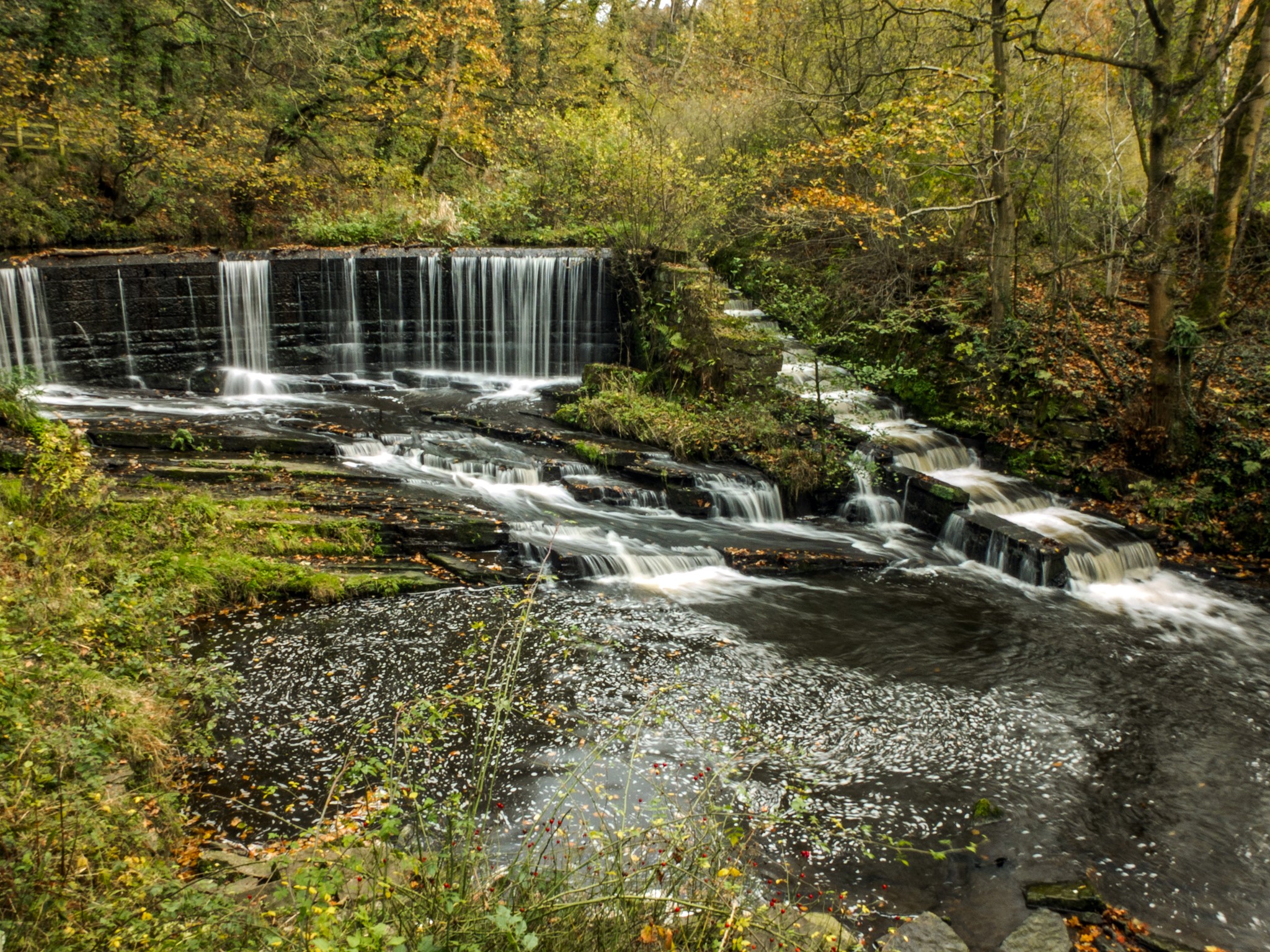 Waterfall in Yarrow Valley Country Park, England HD Wallpaper
