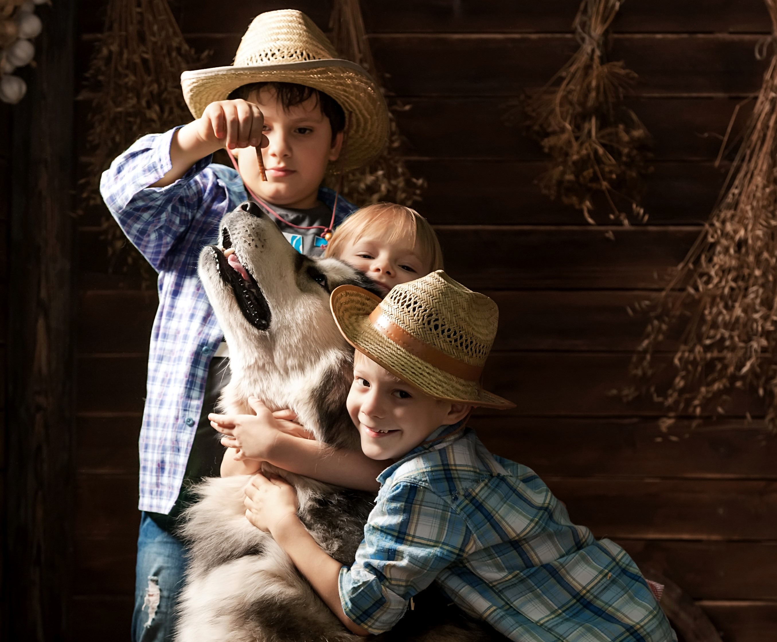 Boys and dog in straw hats HD Wallpaper