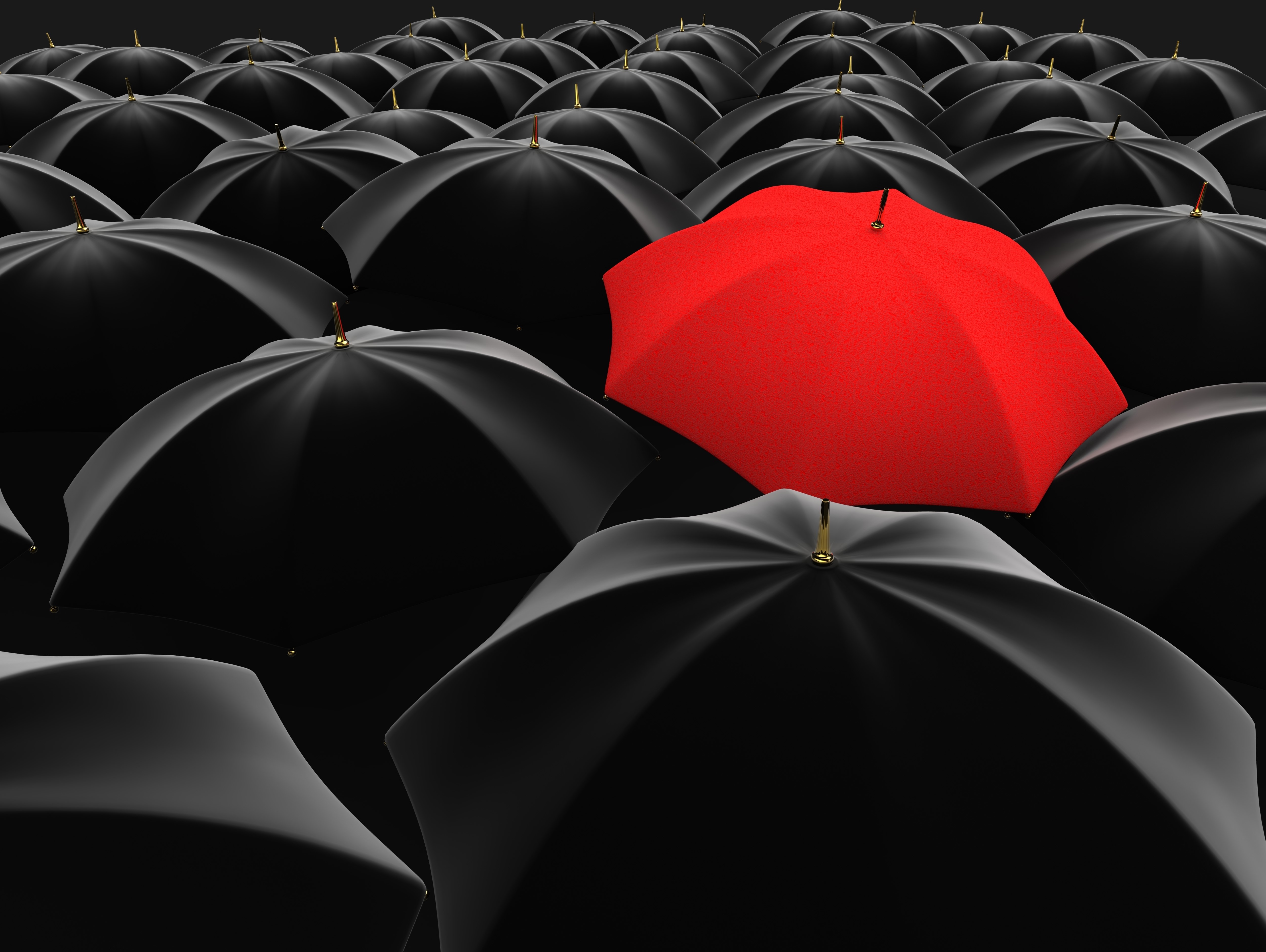 Many umbrellas, one red umbrella HD Wallpaper