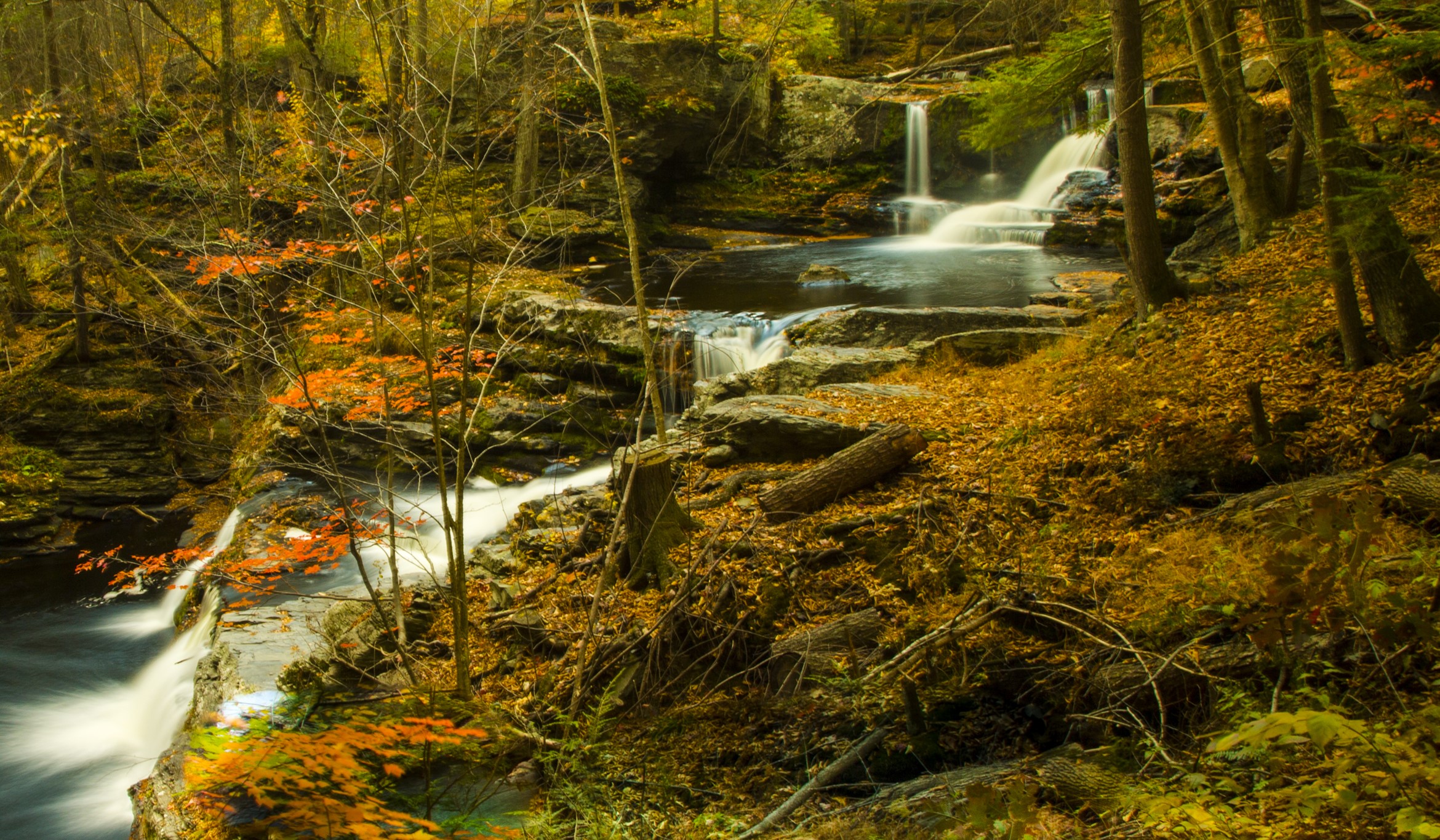Autumn waterfall in a forest with fallen leaves HD Wallpaper