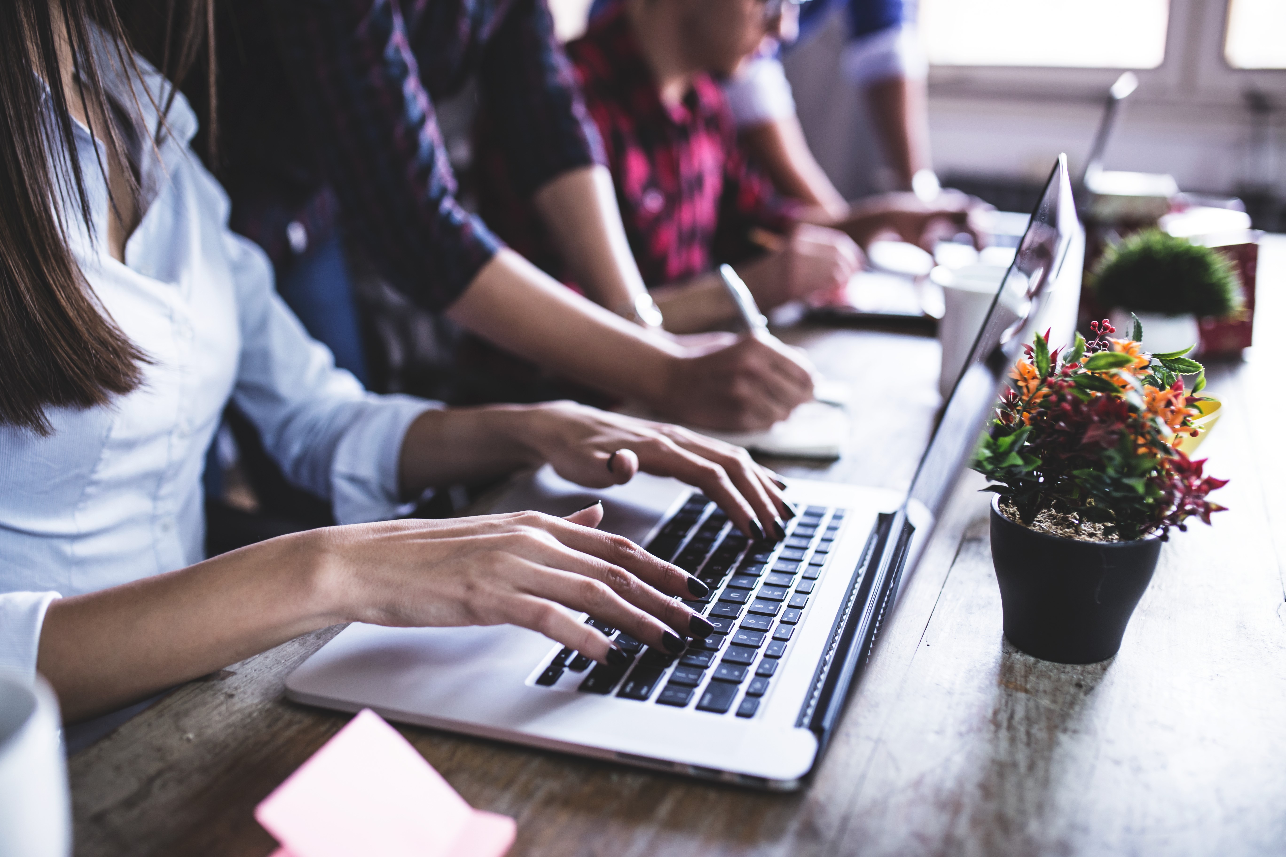 People working on laptops in an office HD Wallpaper