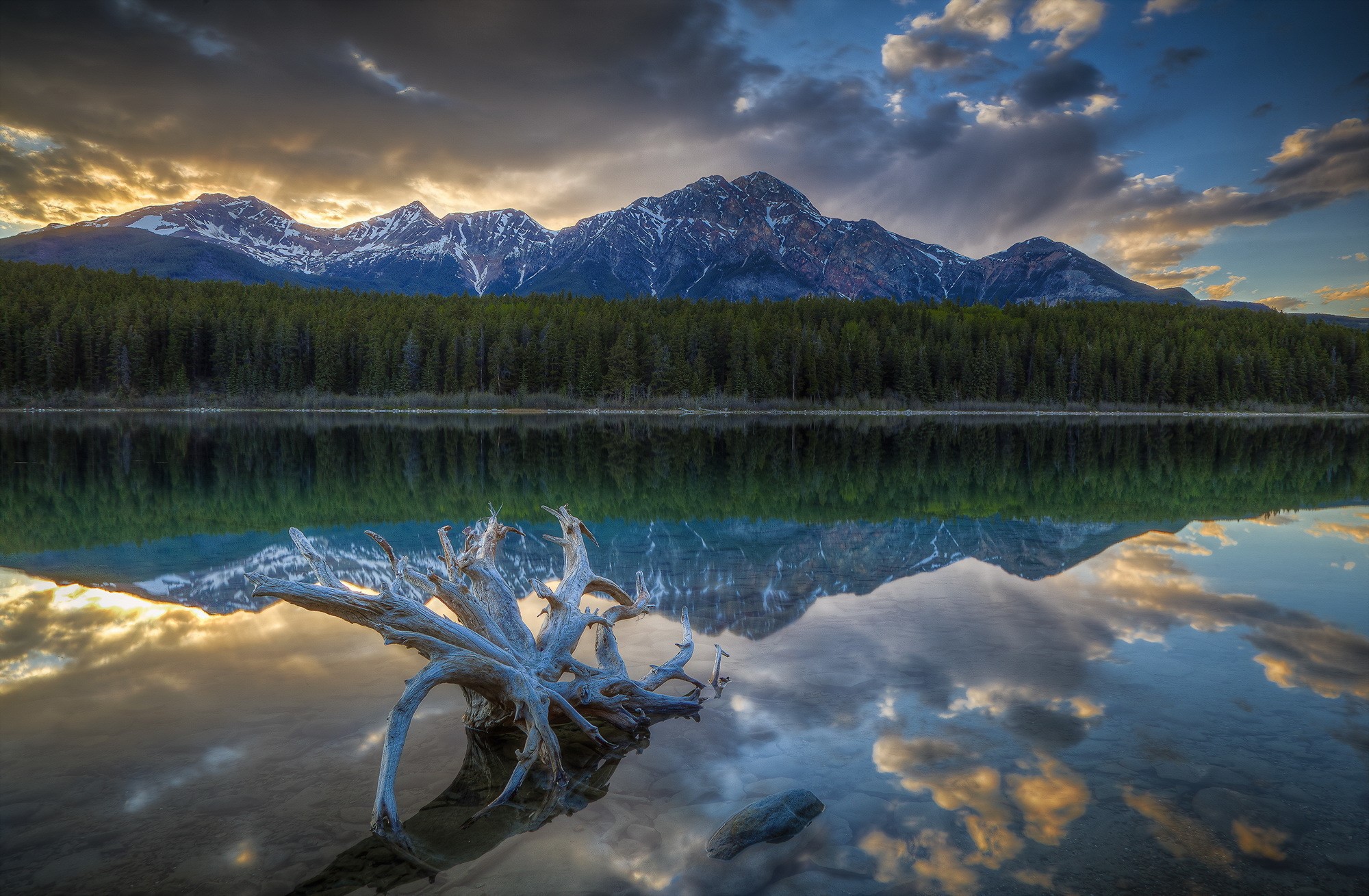 Patricia Lake with Mountains and Forest Reflection in Canada HD Wallpaper