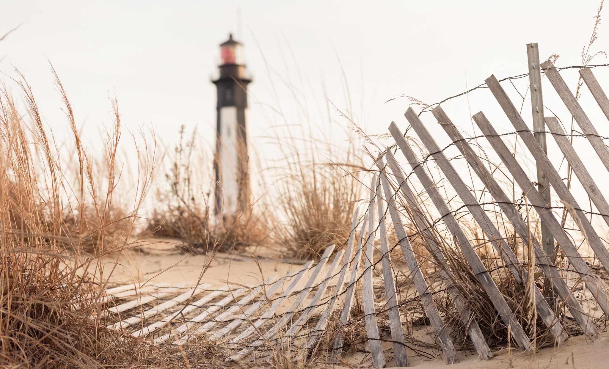 Lighthouse behind a weathered beach fence and tall grass HD Wallpaper