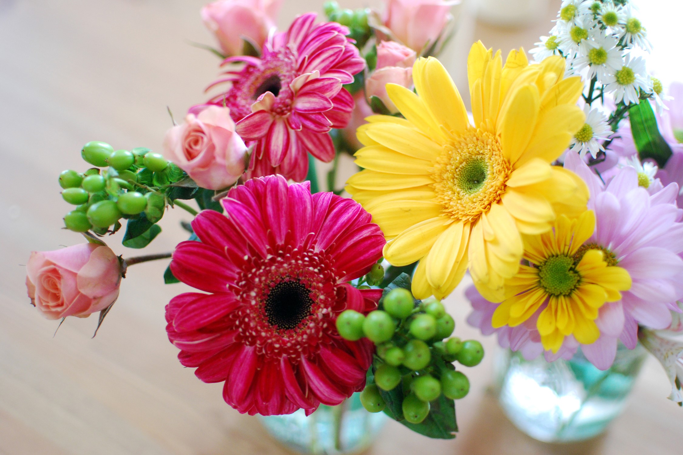 Bouquet of Roses, Gerberas, and Berries HD Wallpaper