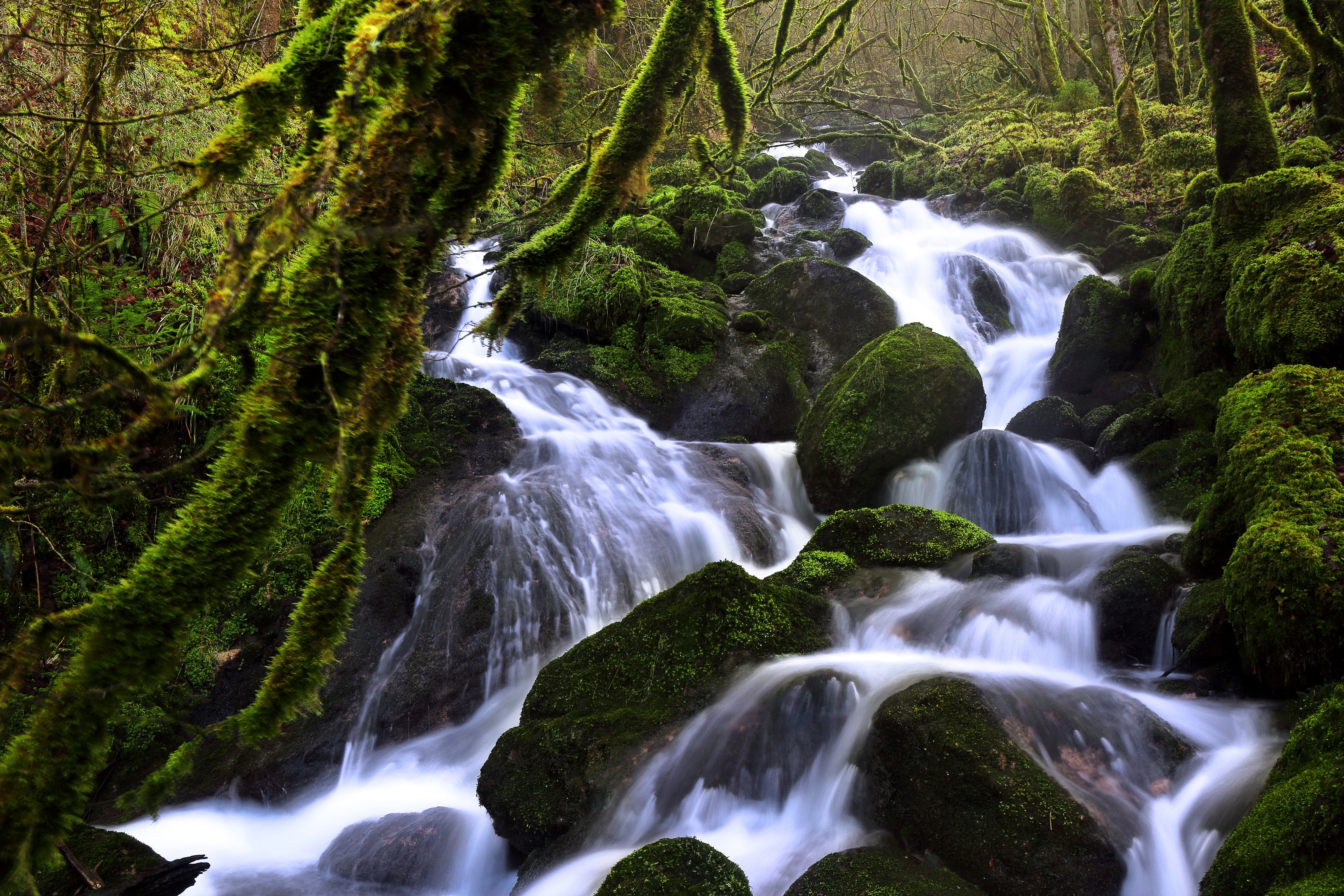 4K Waterfall in Soubey, Switzerland Forests HD Wallpaper