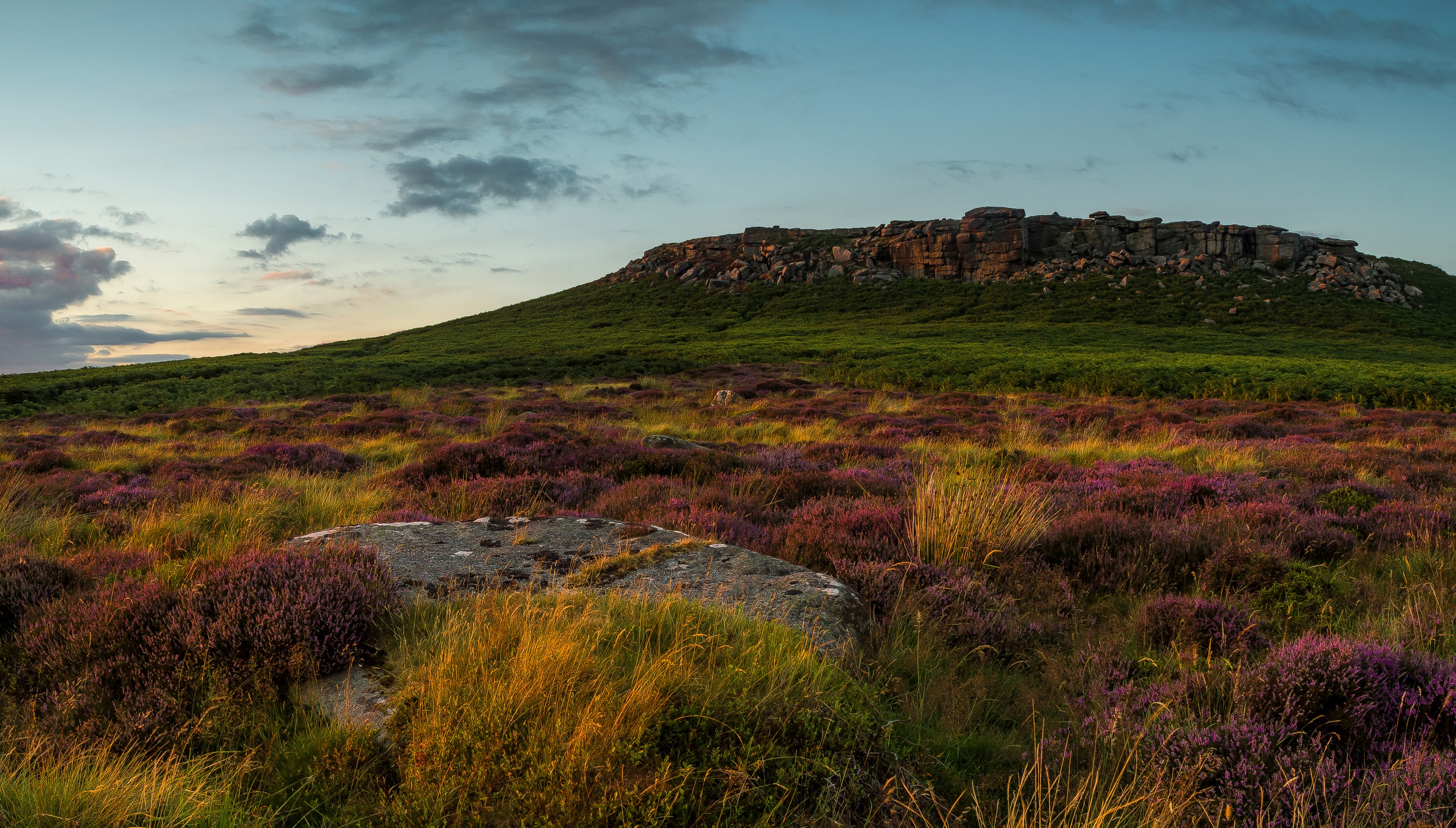 Heather and rocks on a hill in the Peak District HD Wallpaper