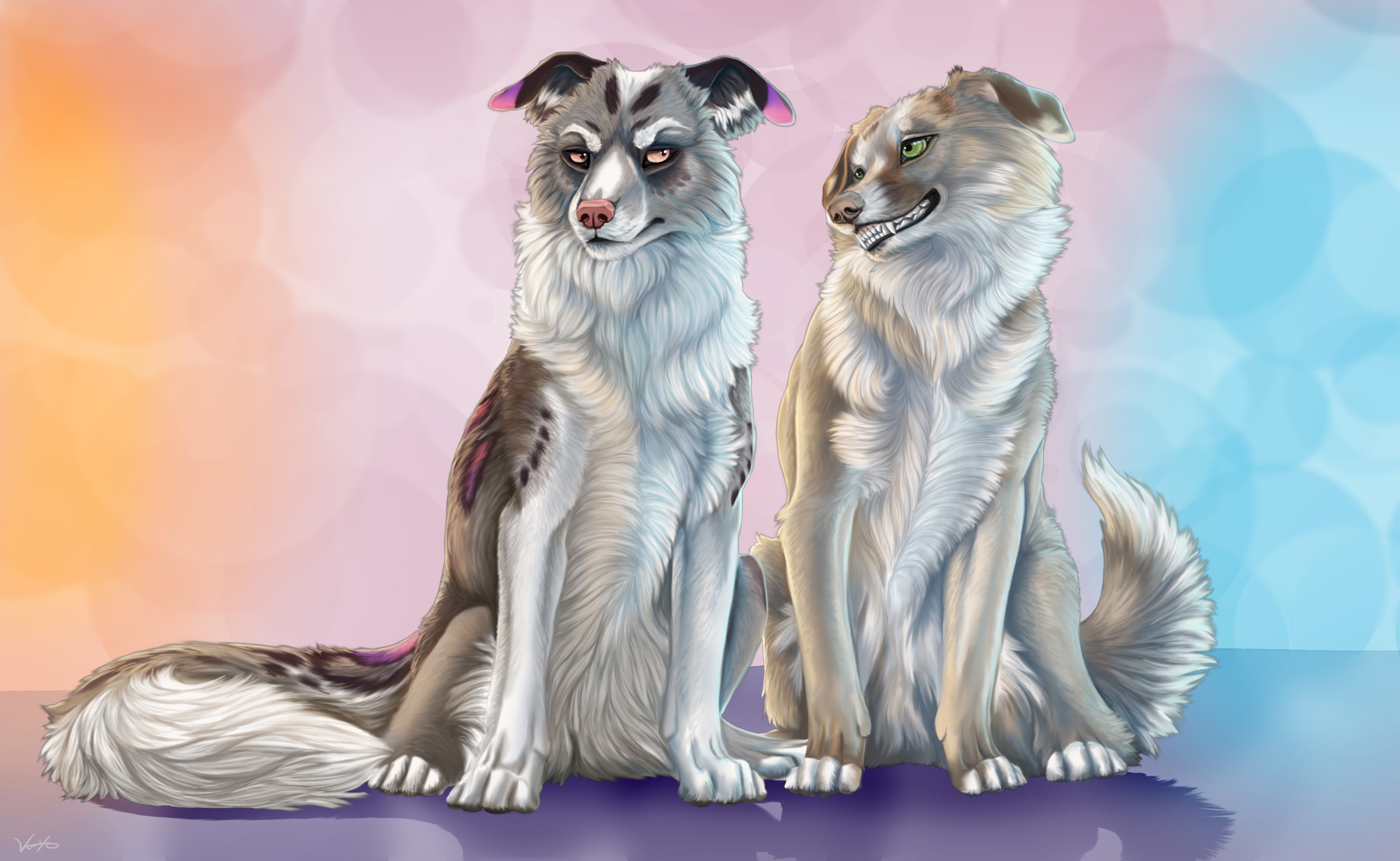 Two dogs sitting on a purple surface HD Wallpaper
