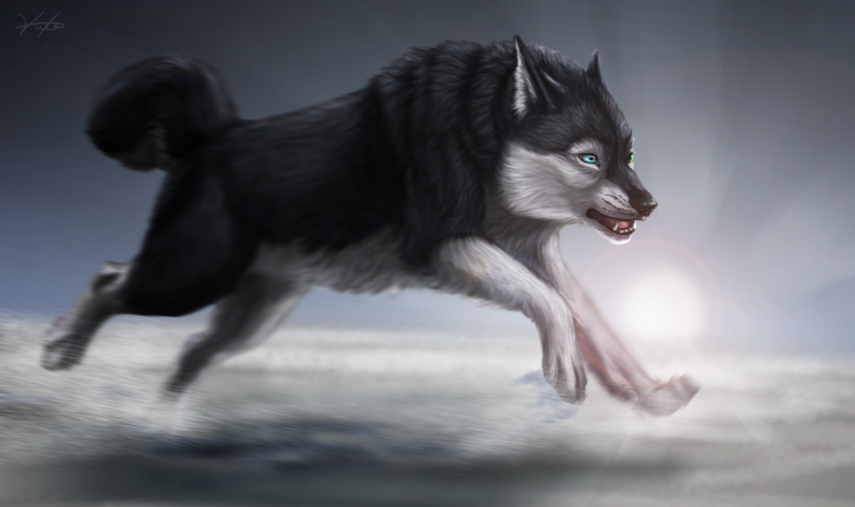 Wolf running in a snowy landscape HD Wallpaper