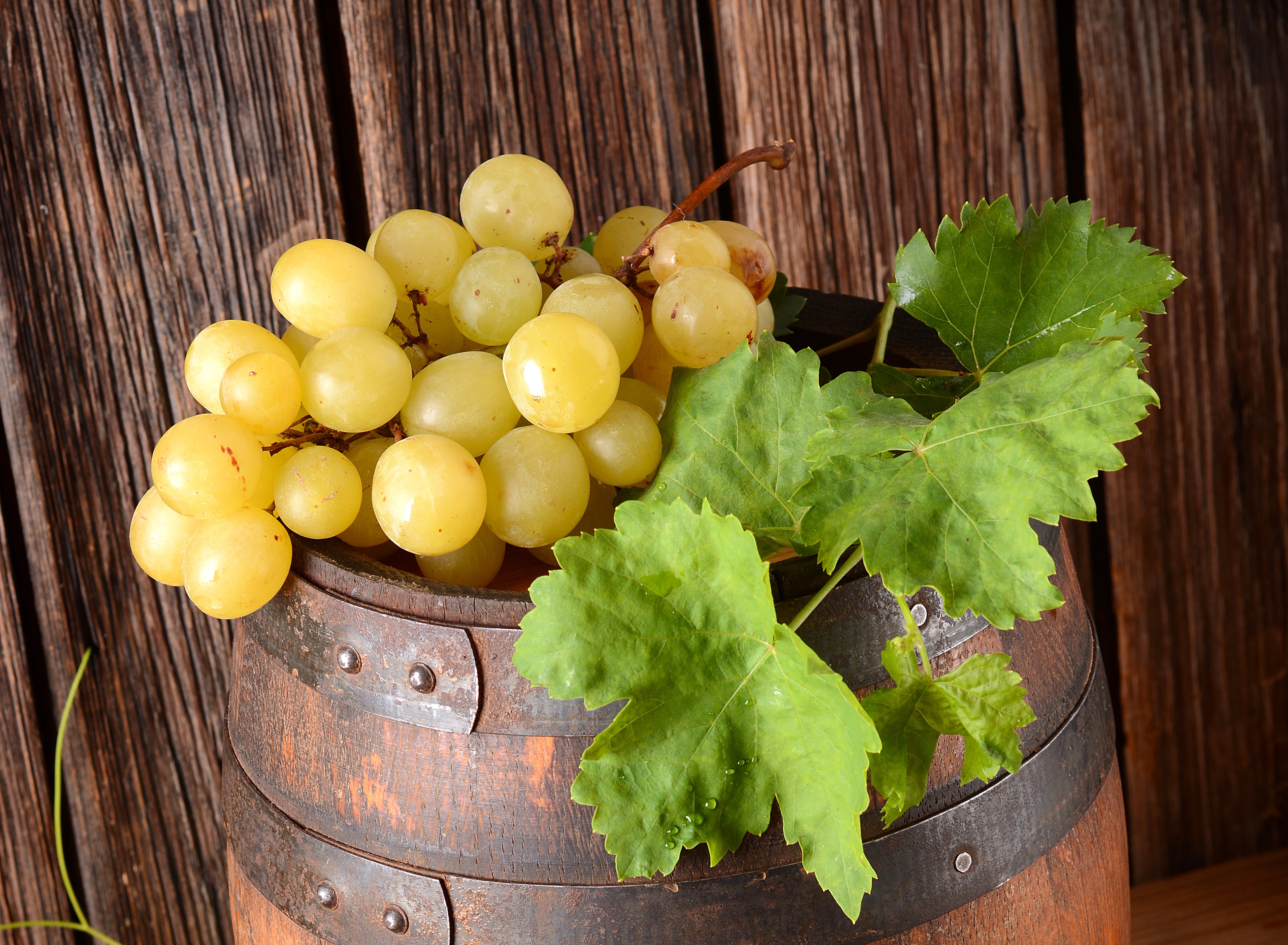 Grapes on a wooden barrel HD Wallpaper