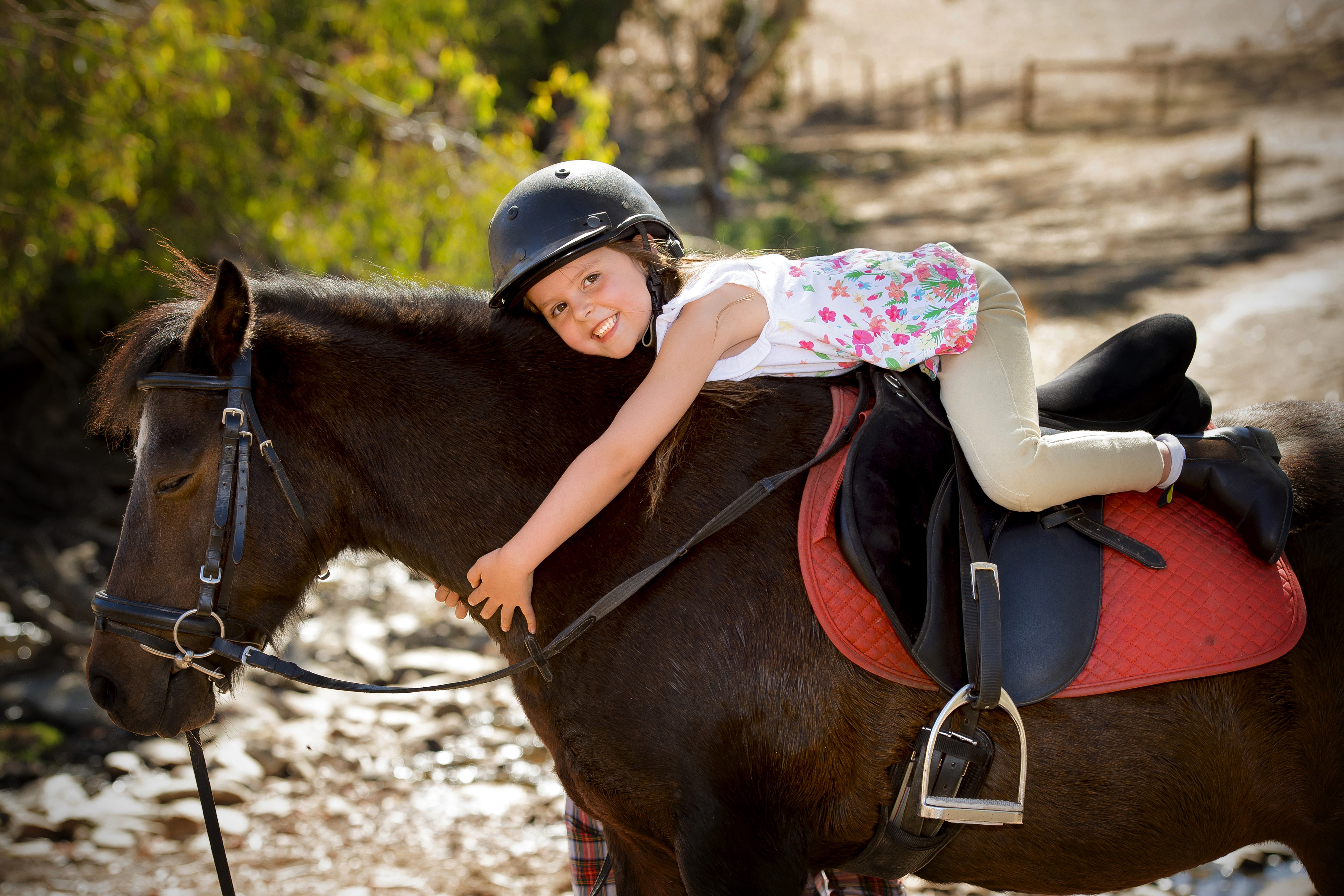 Little girl in helmet riding a horse HD Wallpaper
