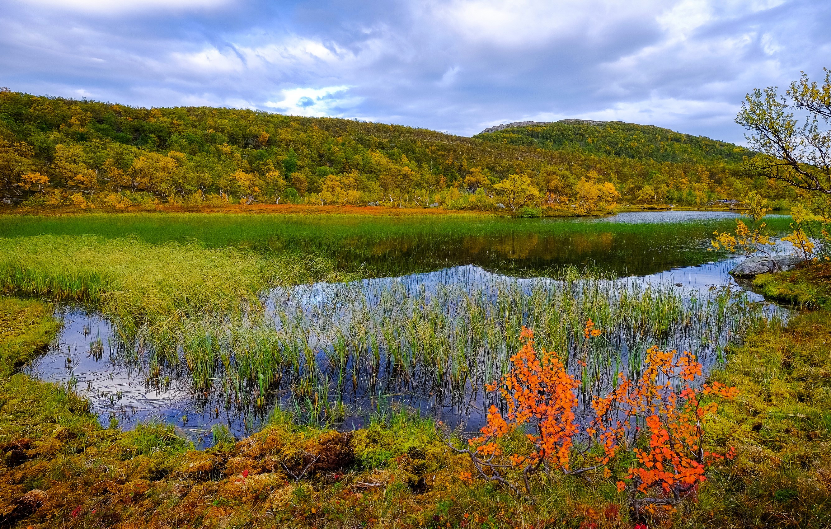 Autumn landscape with lake and colorful trees in Norway HD Wallpaper