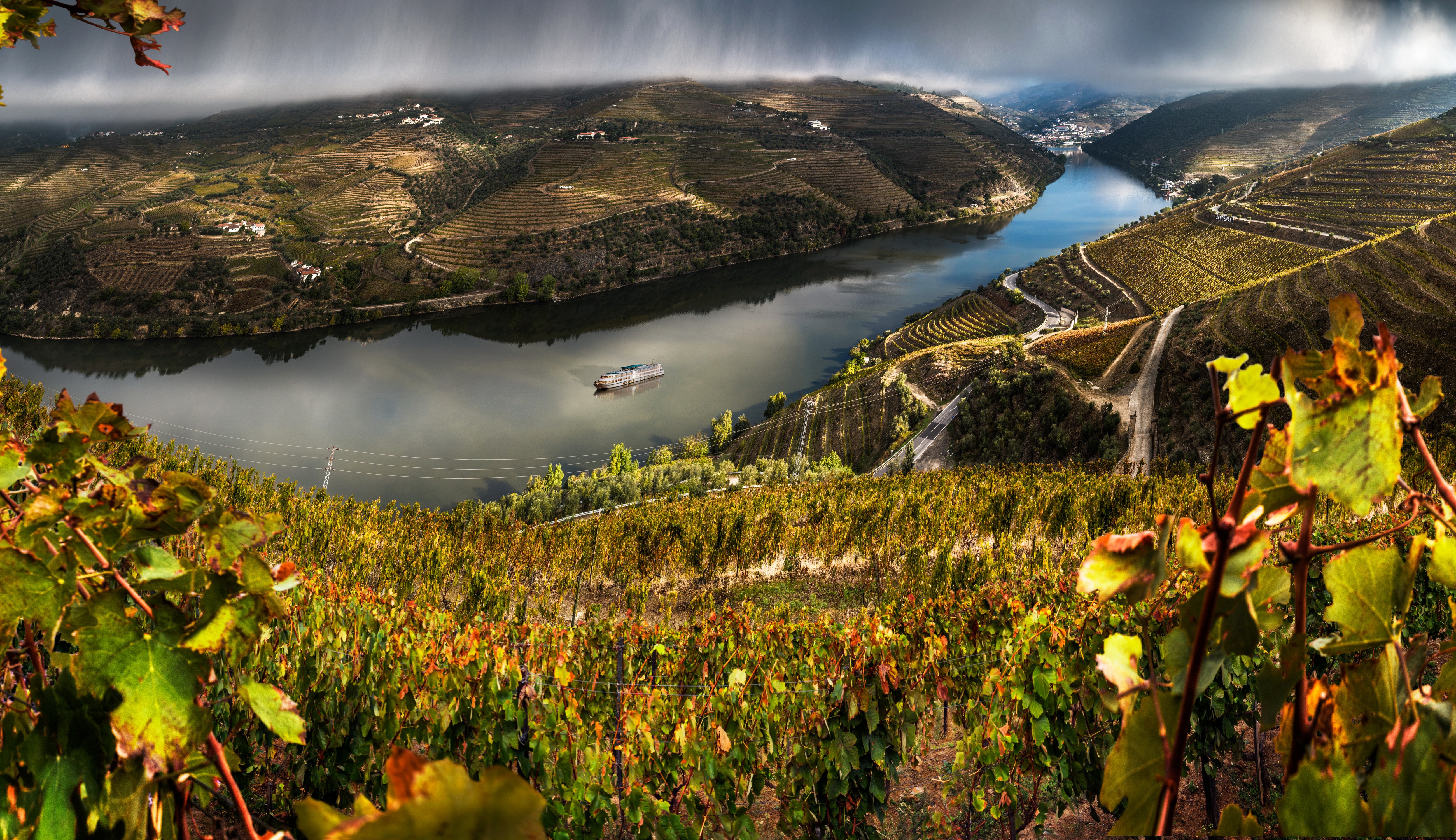 Douro River Valley Vineyards in Portugal HD Wallpaper