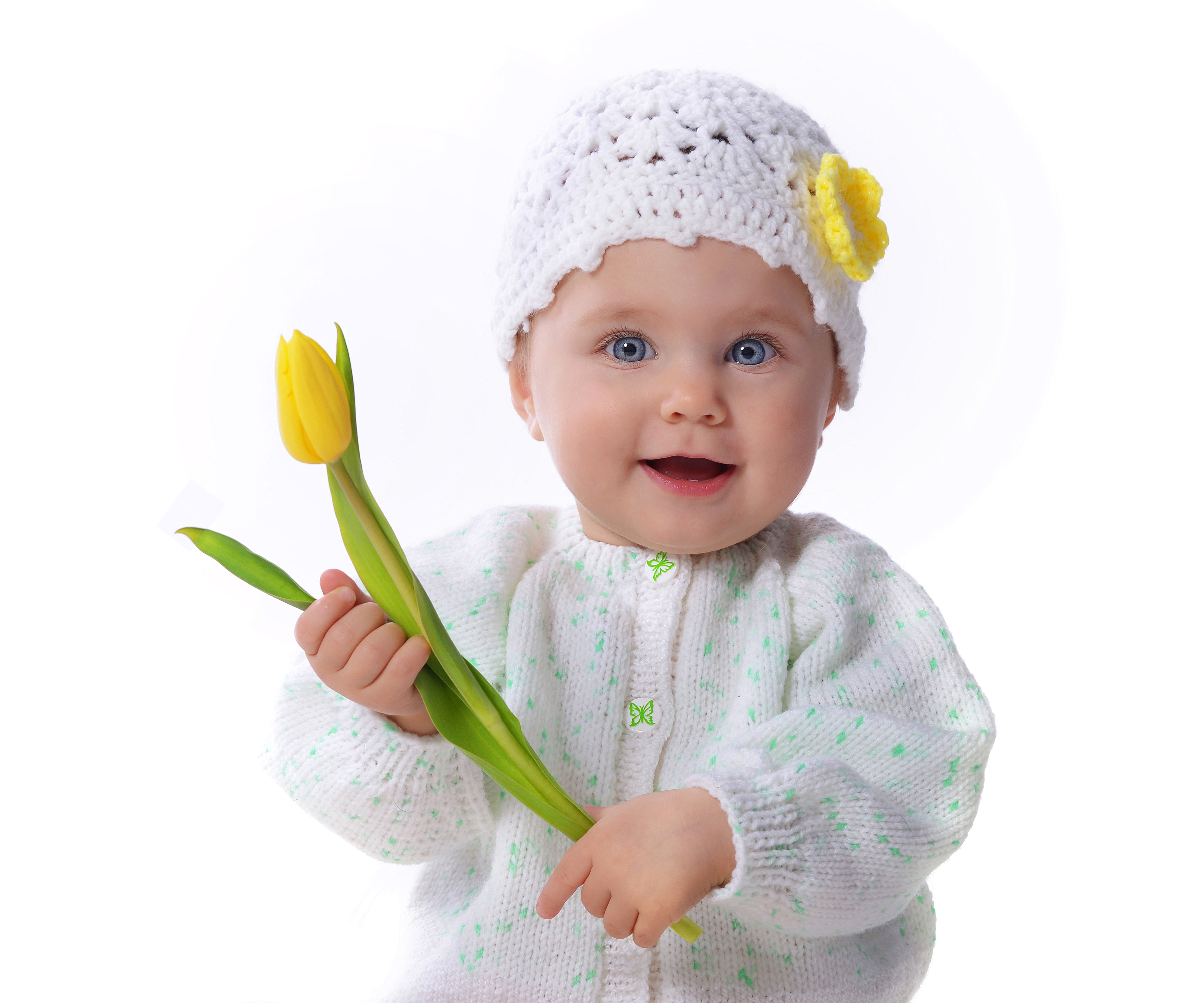Baby girl in a winter hat holding a tulip HD Wallpaper