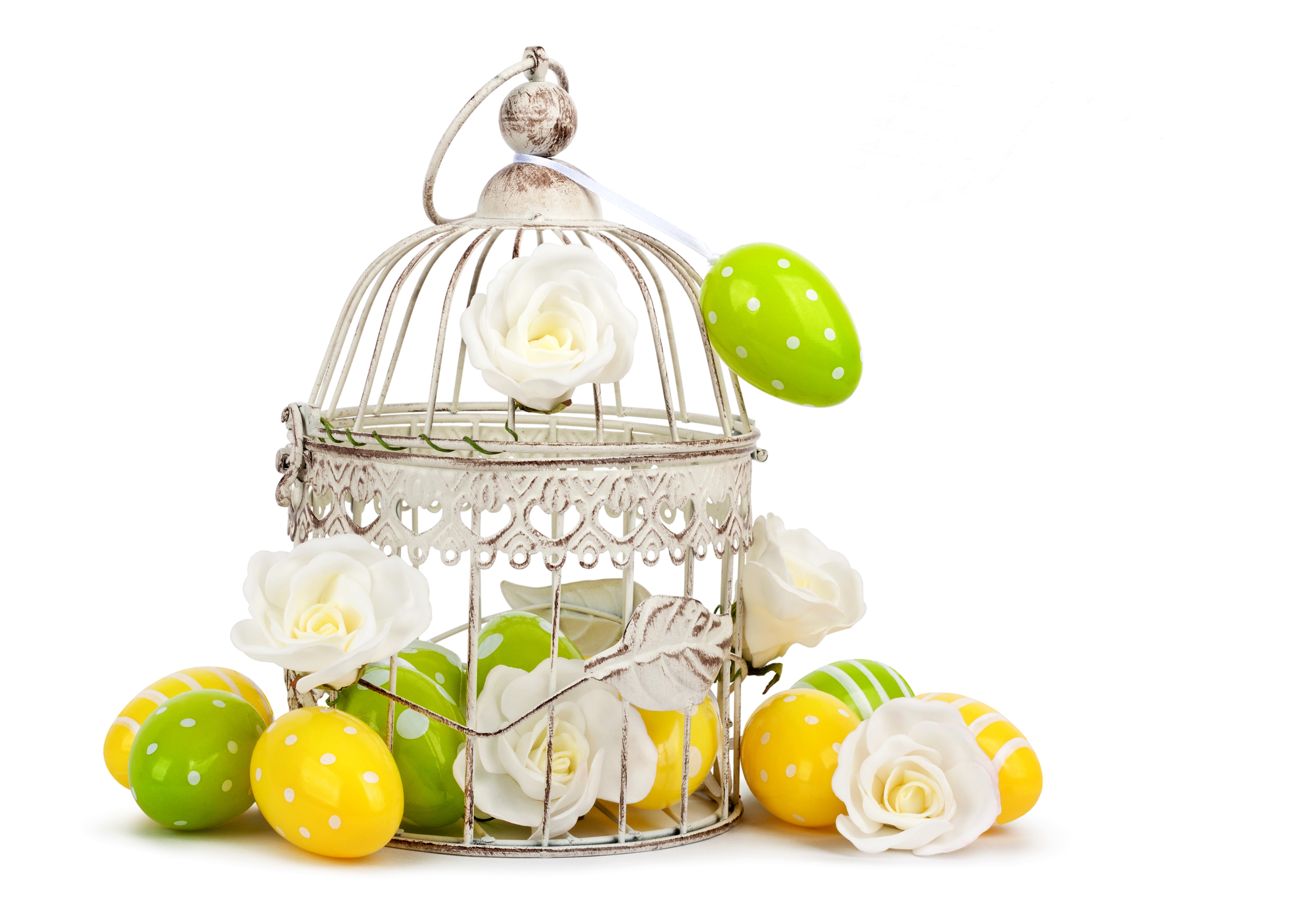 Easter eggs and white roses in a decorative birdcage HD Wallpaper