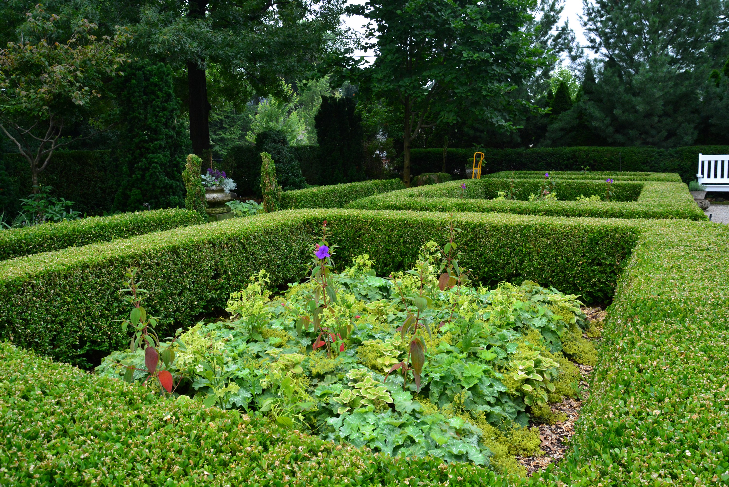 Formal Garden with Boxwood Hedges and Flowers HD Wallpaper