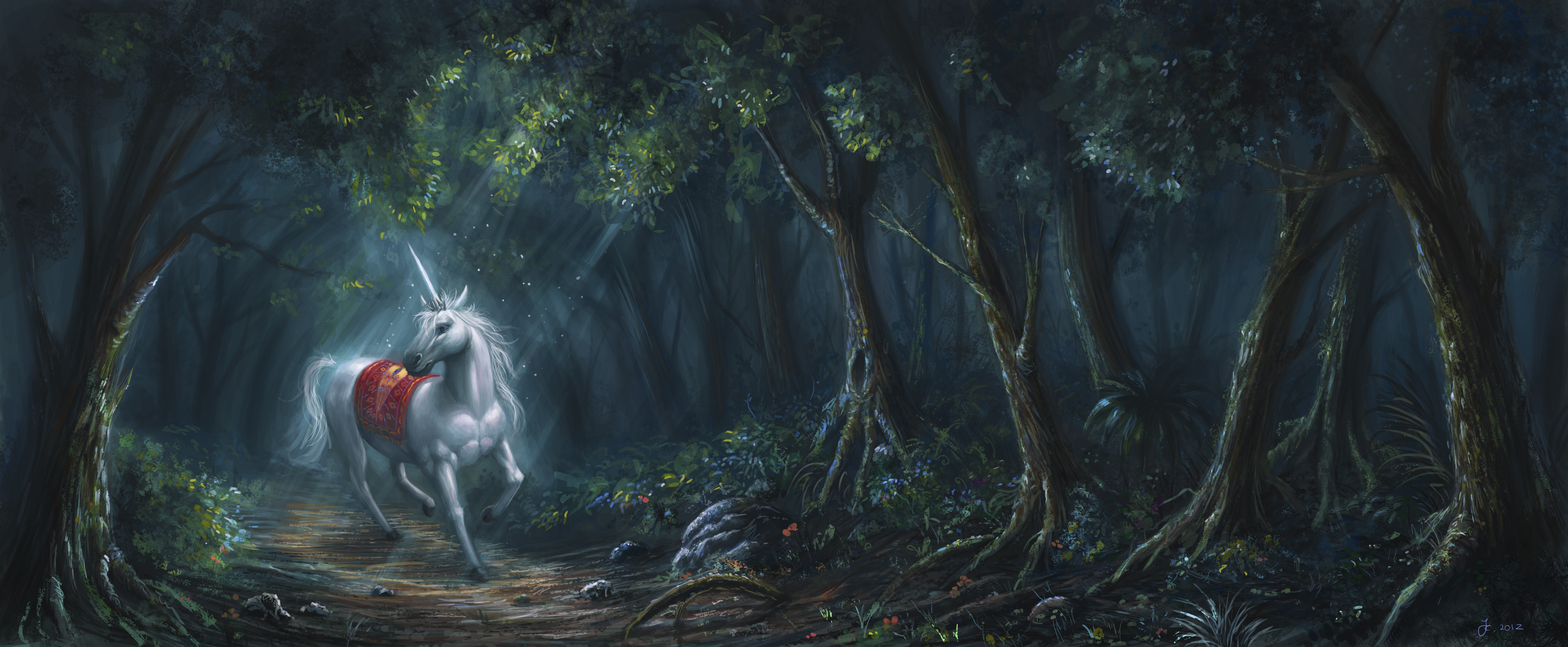 Unicorn in a dark forest at night HD Wallpaper