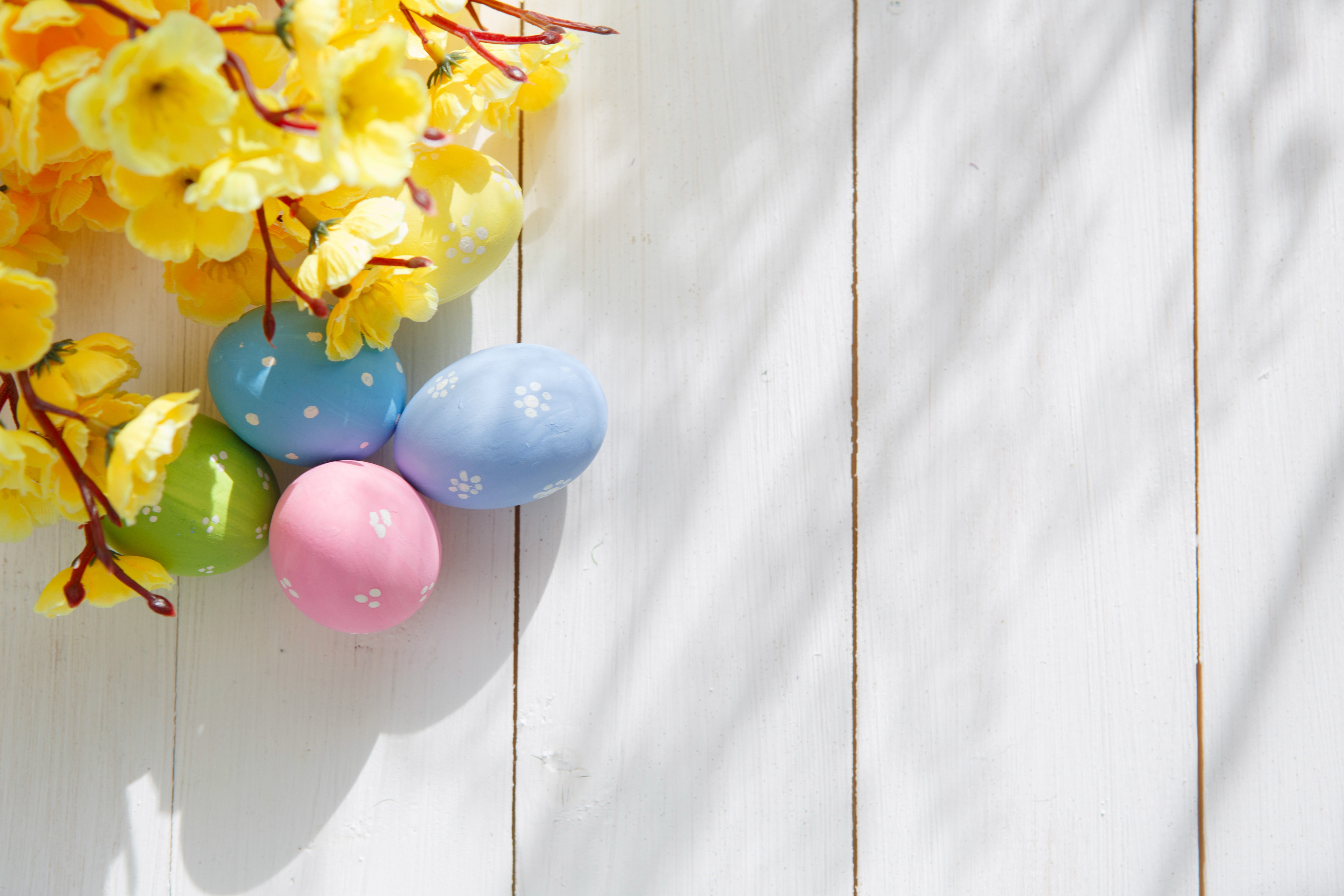 Easter Eggs and Yellow Flowers on White Wood Planks HD Wallpaper